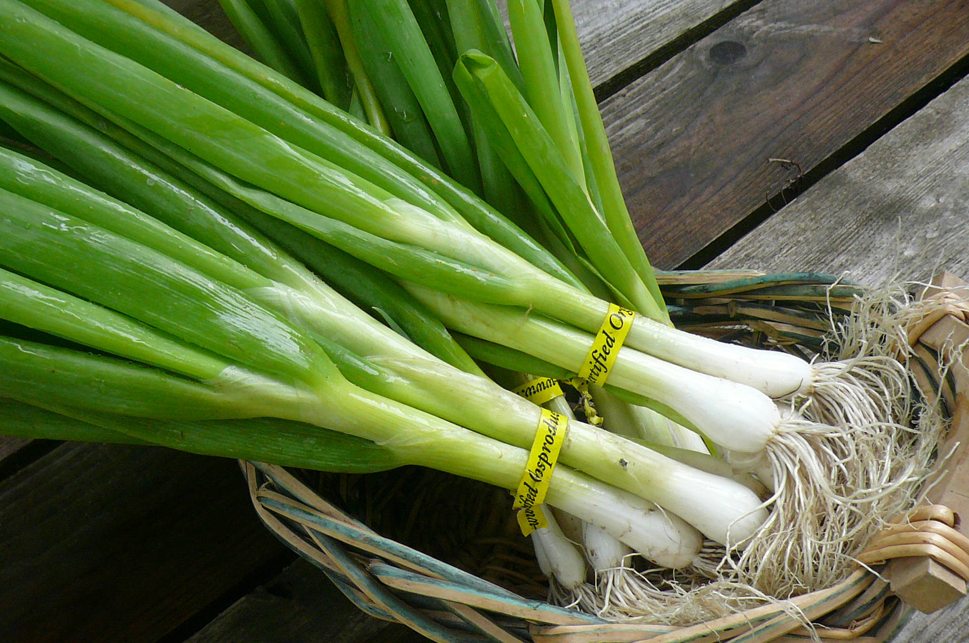 Aesthetic Spring Onion Bundles In Basket Background