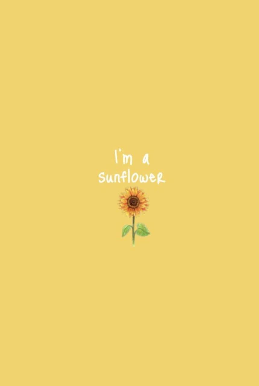 Aesthetic Summer Sunflower Background