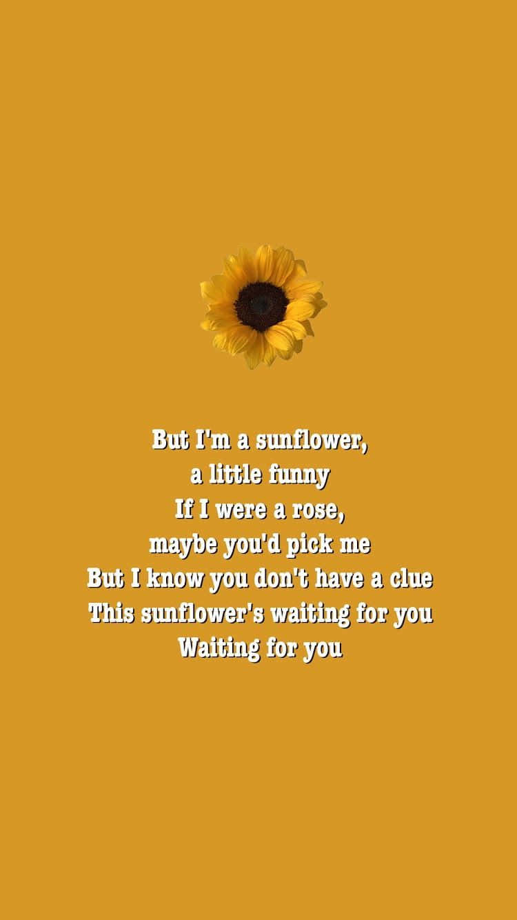 Aesthetic Sunflower Quotes Background