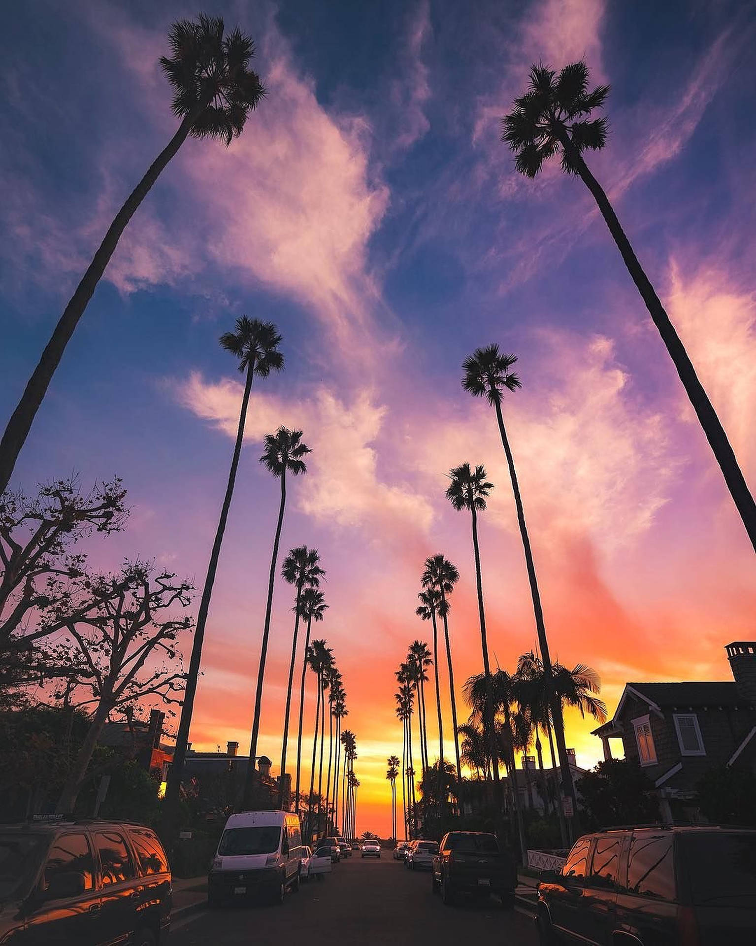 Aesthetic Sunset Boulevard Background