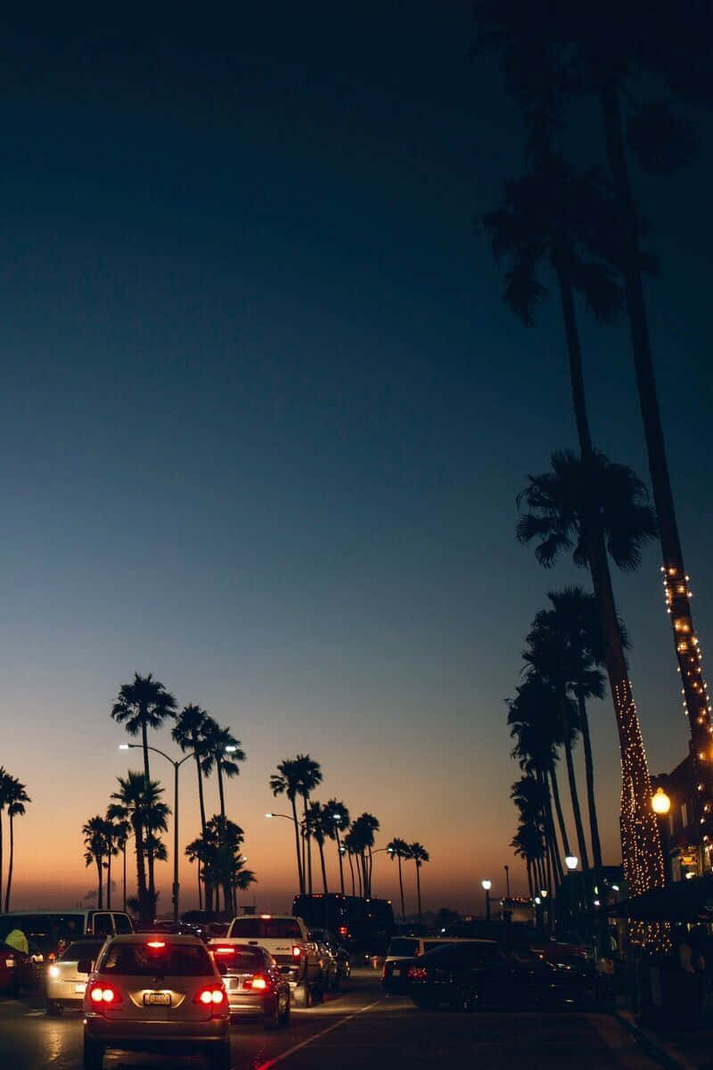 Aesthetic Sunset Iphone During Traffic With Tall Palm Trees Background