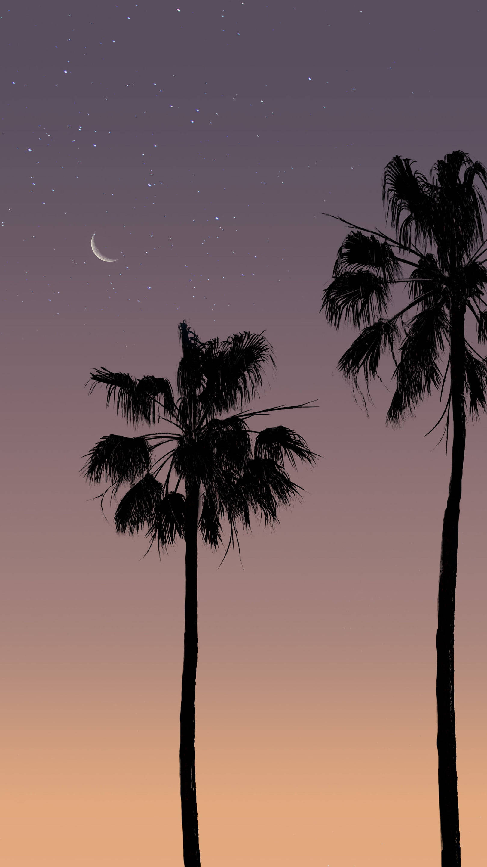 Aesthetic Sunset With Coconut Tree Silhouettes Background