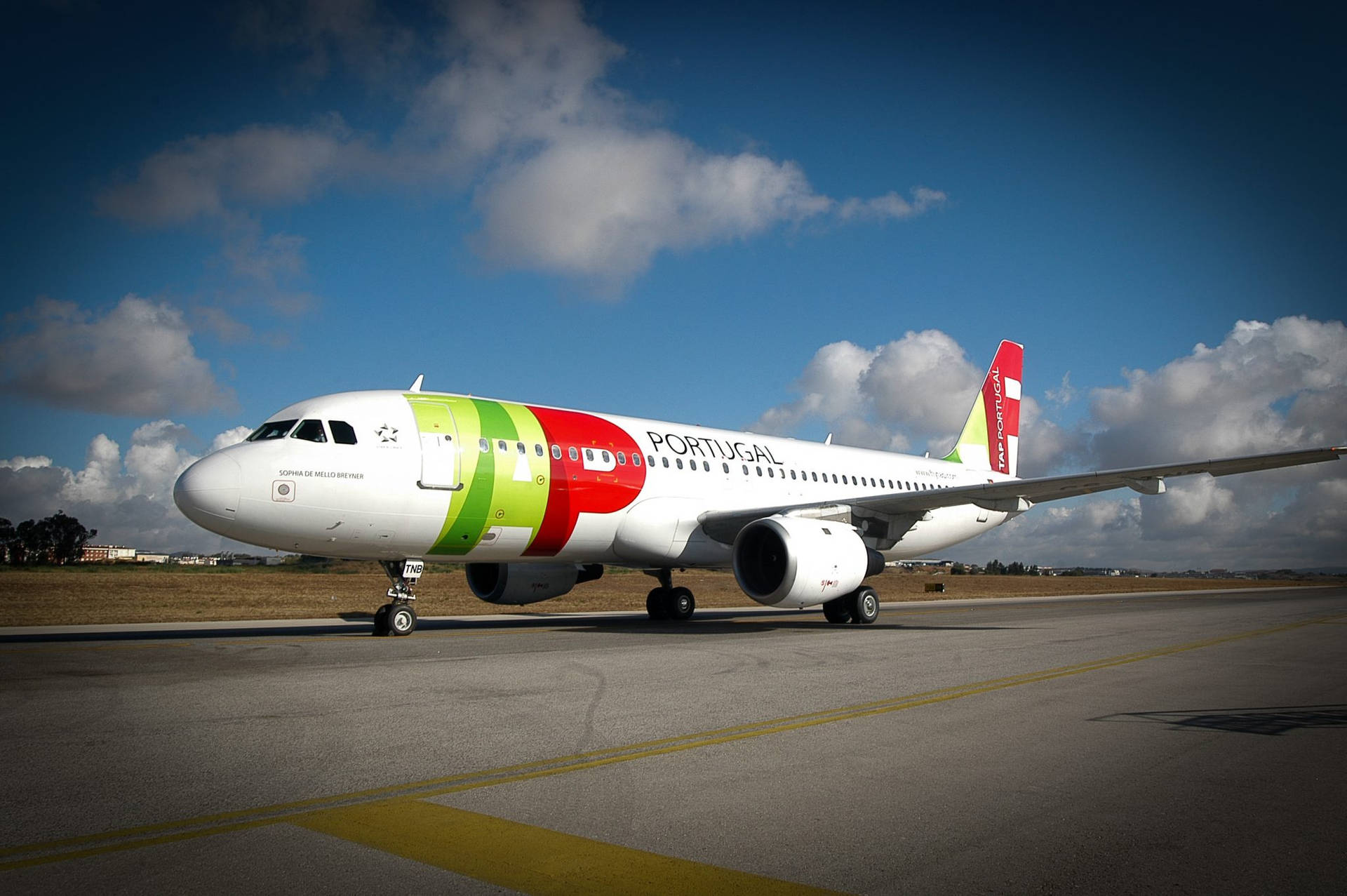 Aesthetic Tap Portugal Plane