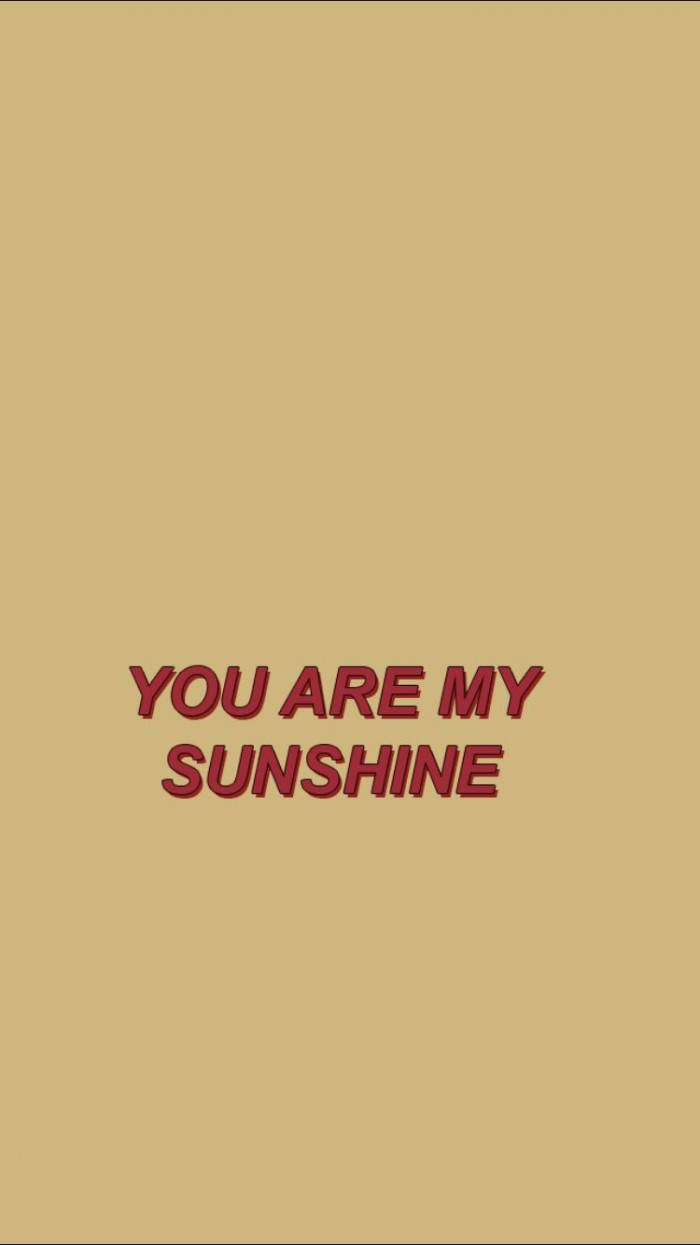 Aesthetic Tumblr Quotes Sunshine Background