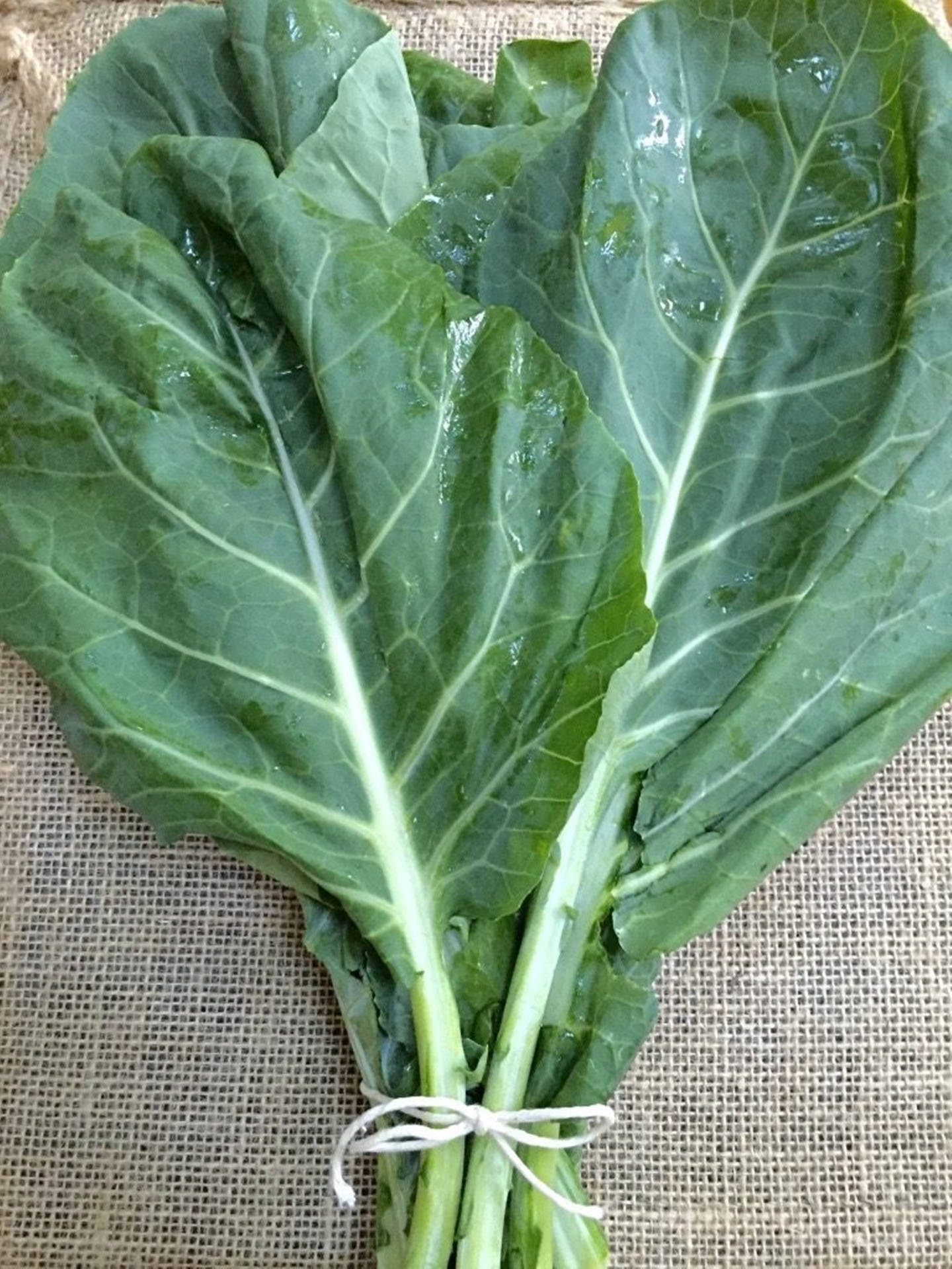 Aesthetic Vegetable Collard Greens High Angle Shot Background