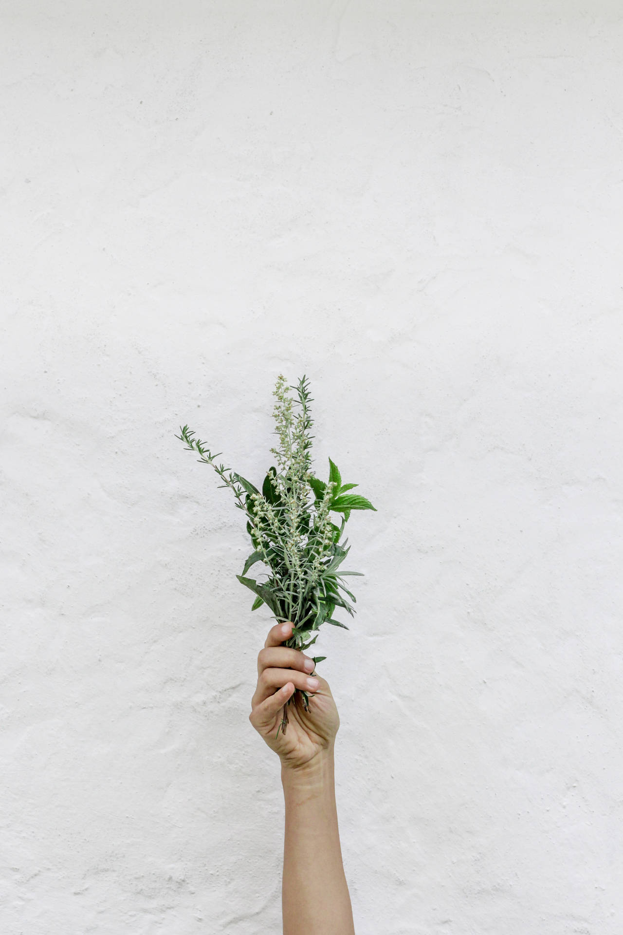 Aesthetic View Of Sage Green Tranquility