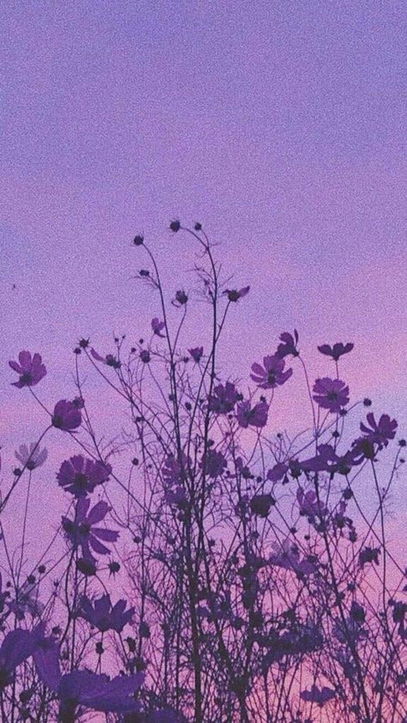 Aesthetic Vintage Purple Cosmos Background