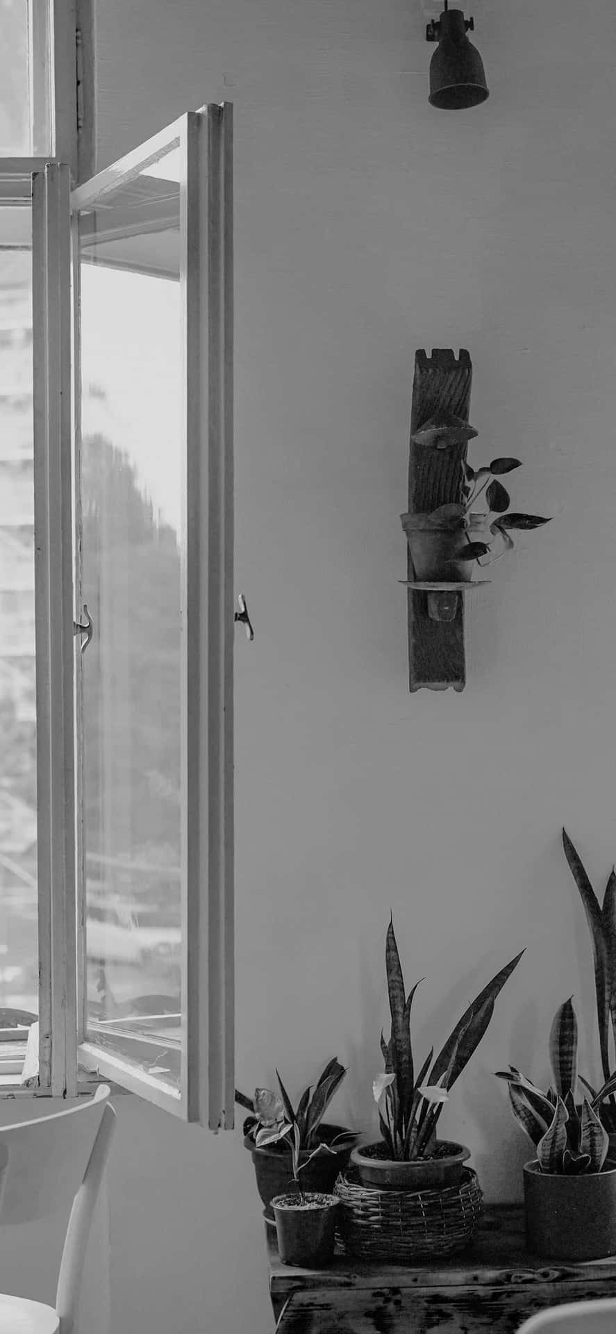 Aesthetic White And Black Iphone Cozy Room With Plants Background