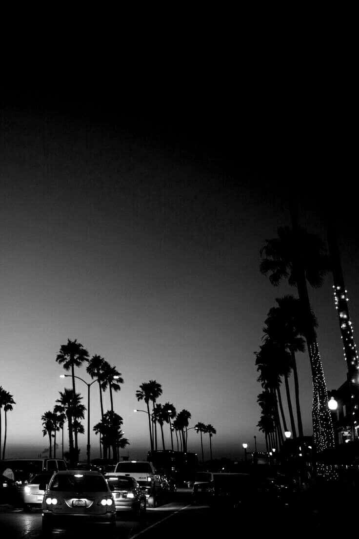 Aesthetic White And Black Iphone Palm Trees And Cars Background