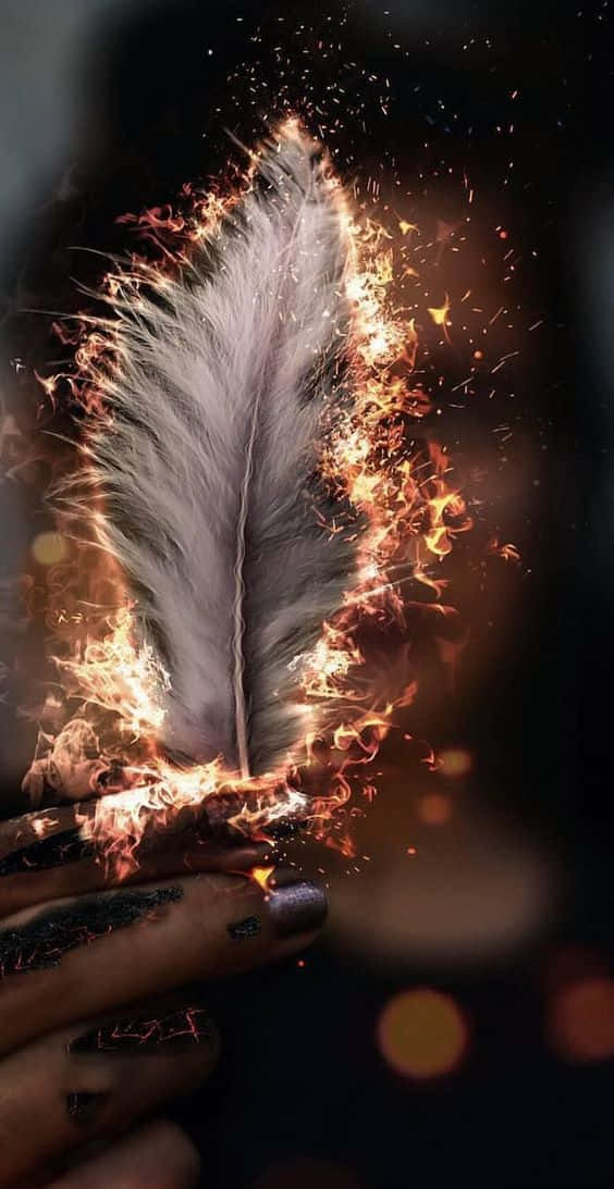 Aesthetic White Feather On Fire Background