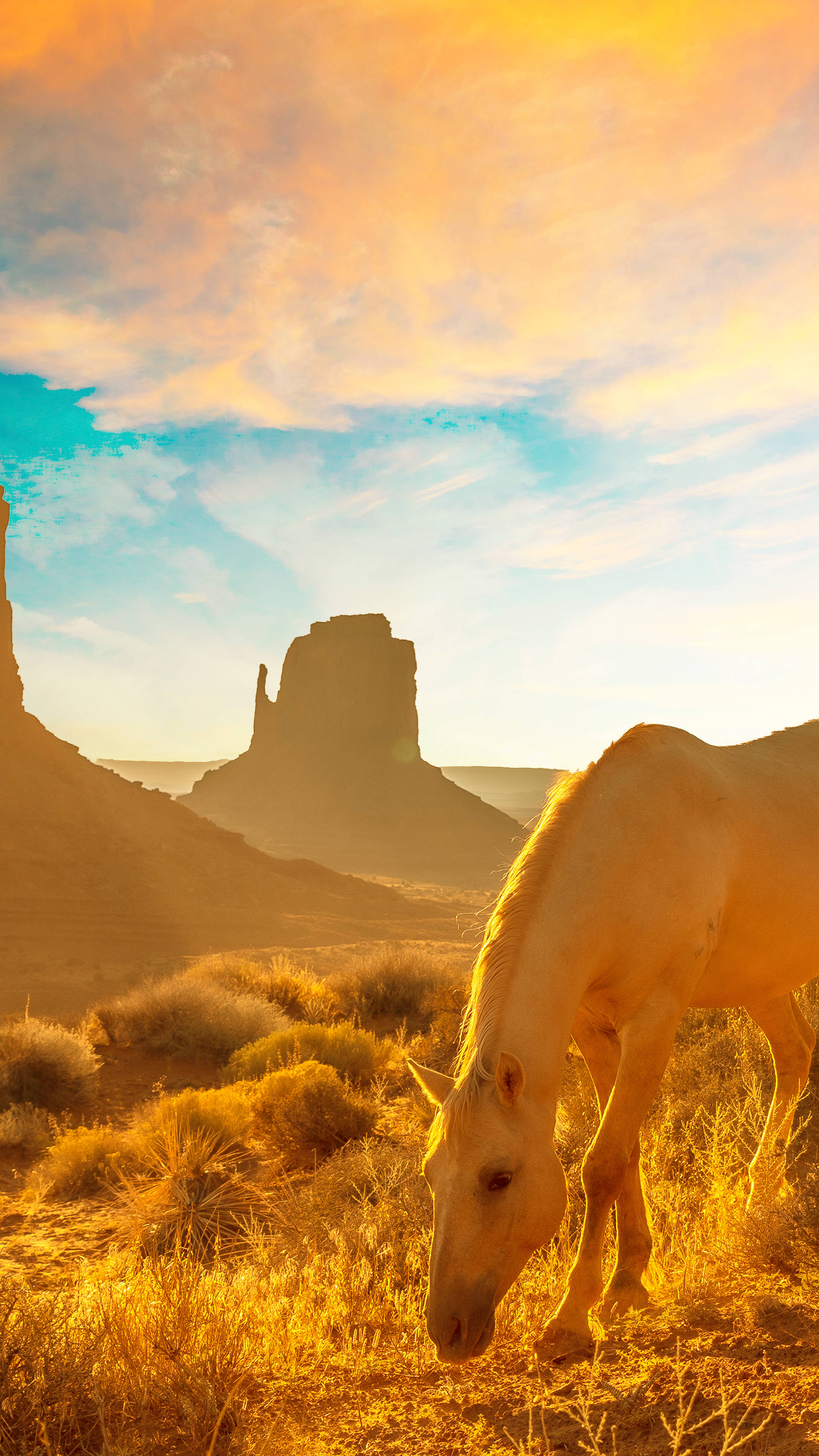 Aesthetic Wild Western Horse Background