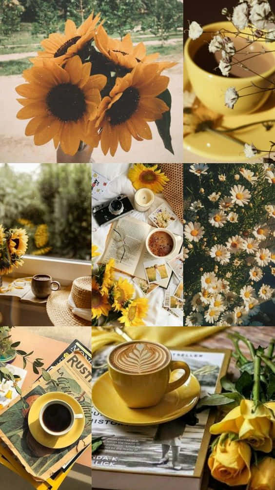 Aesthetic Yellow Collage Background