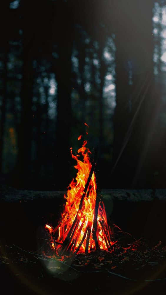 Aesthetically Pleasing Red And Yellow Fire Blazing Brightly Against A Dark Background Background