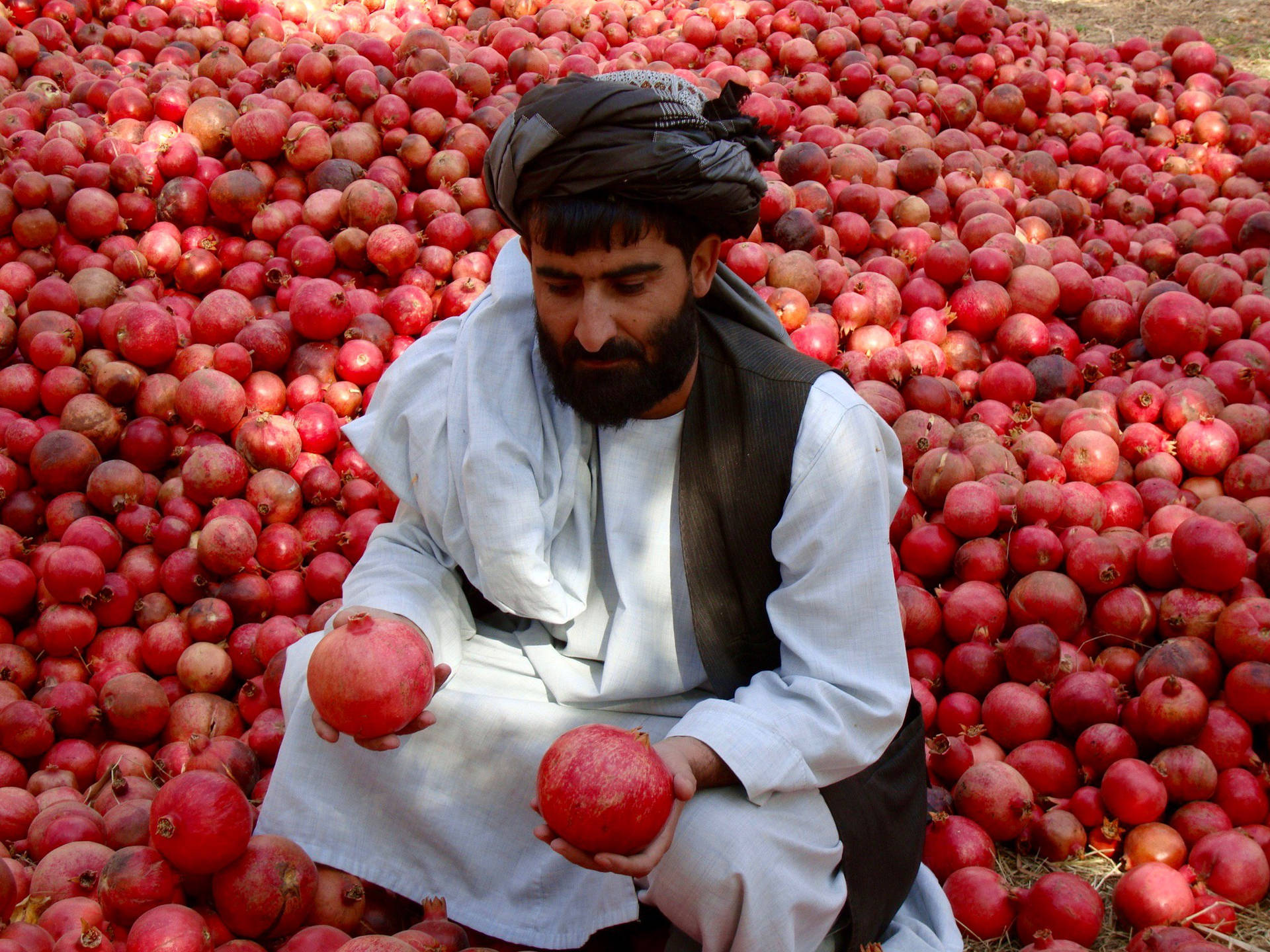 Afghanistan Man With Pomegranates Background