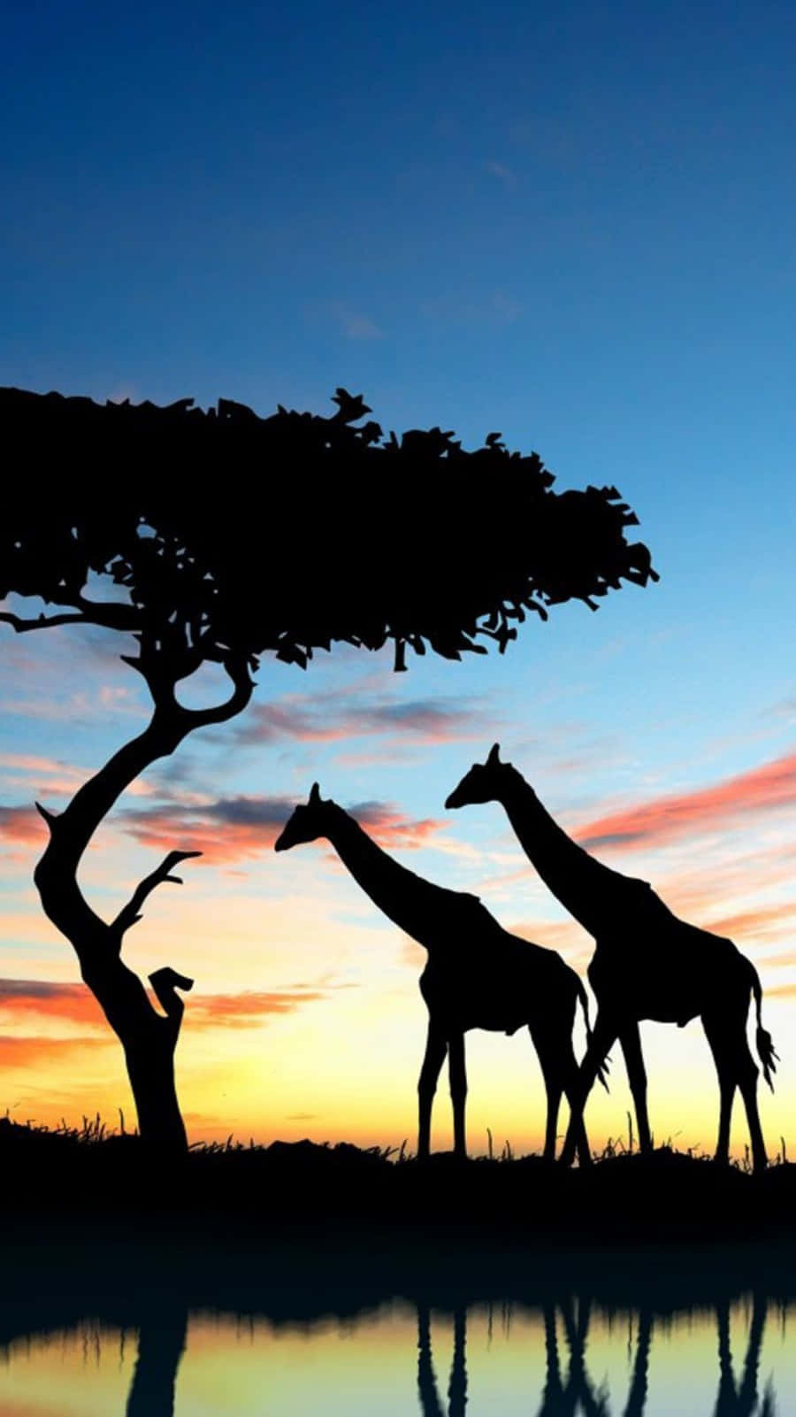 African Giraffes Silhouette Phone Background