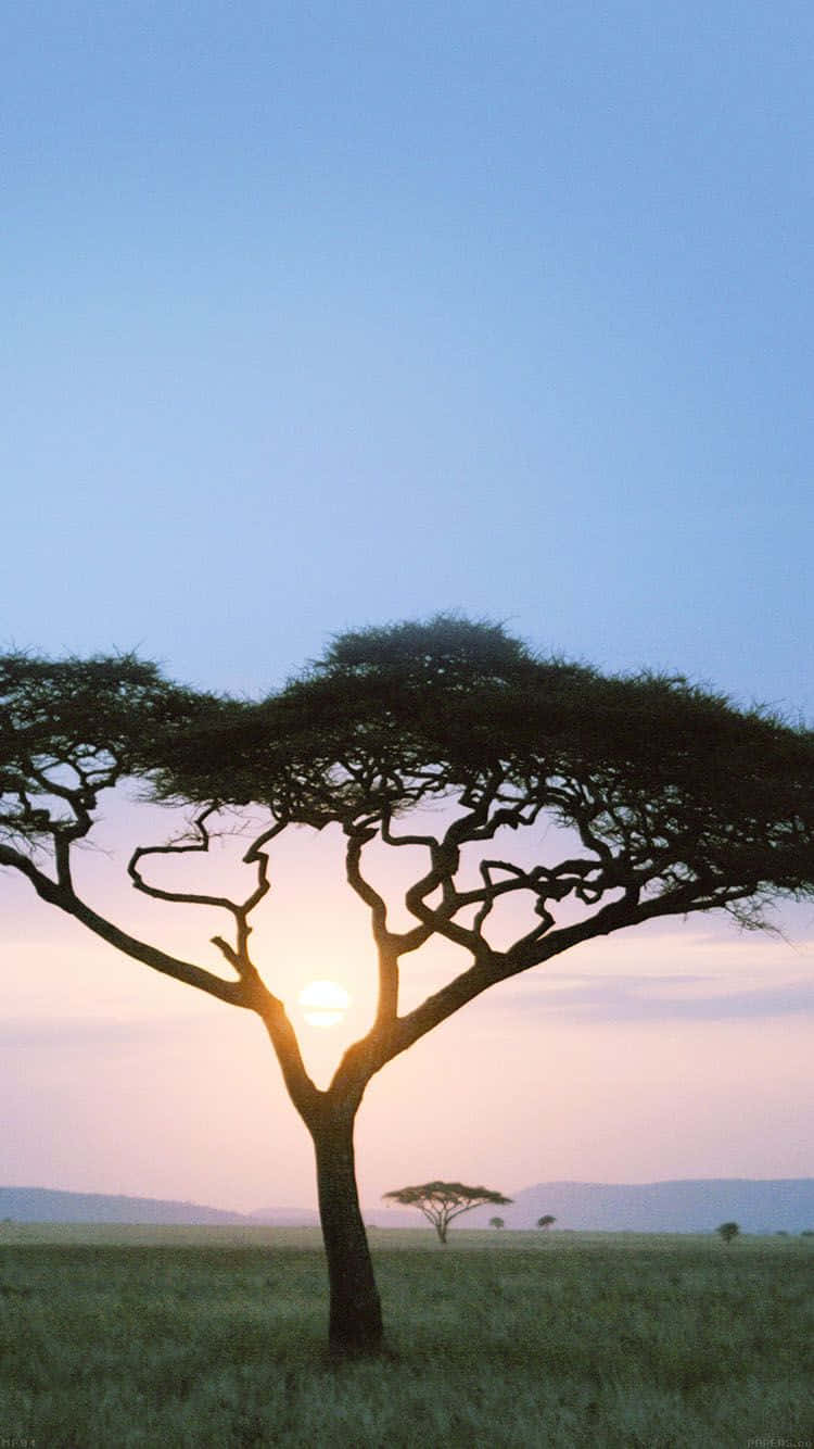 African Landscape Breathtaking Scenery Iphone Background