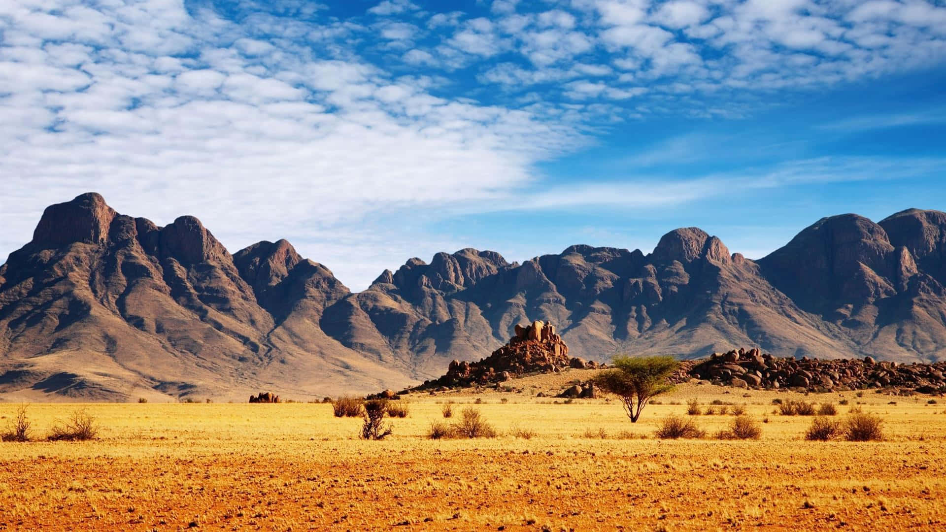 African Safari Landscape Background
