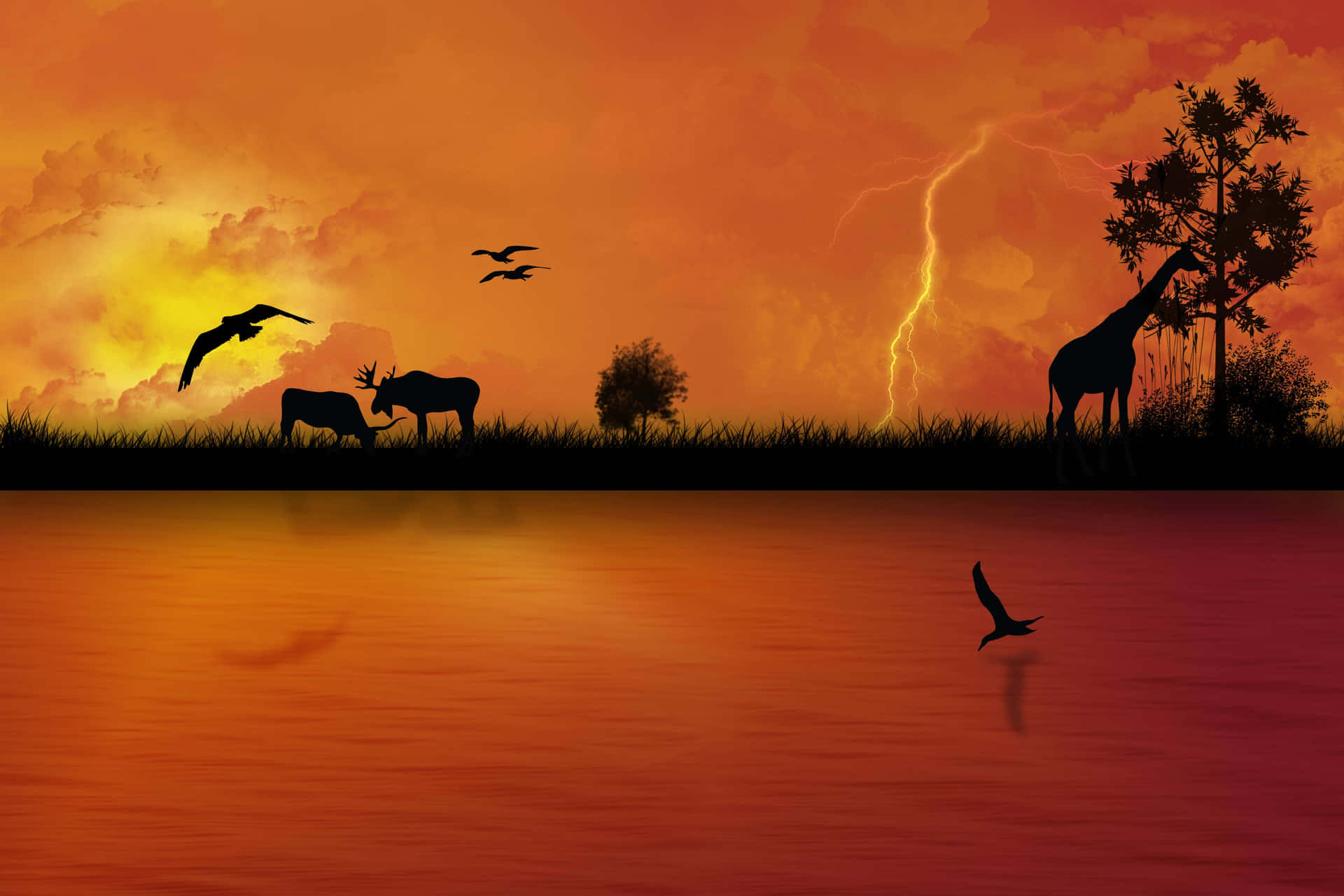 Safari Backgrounds