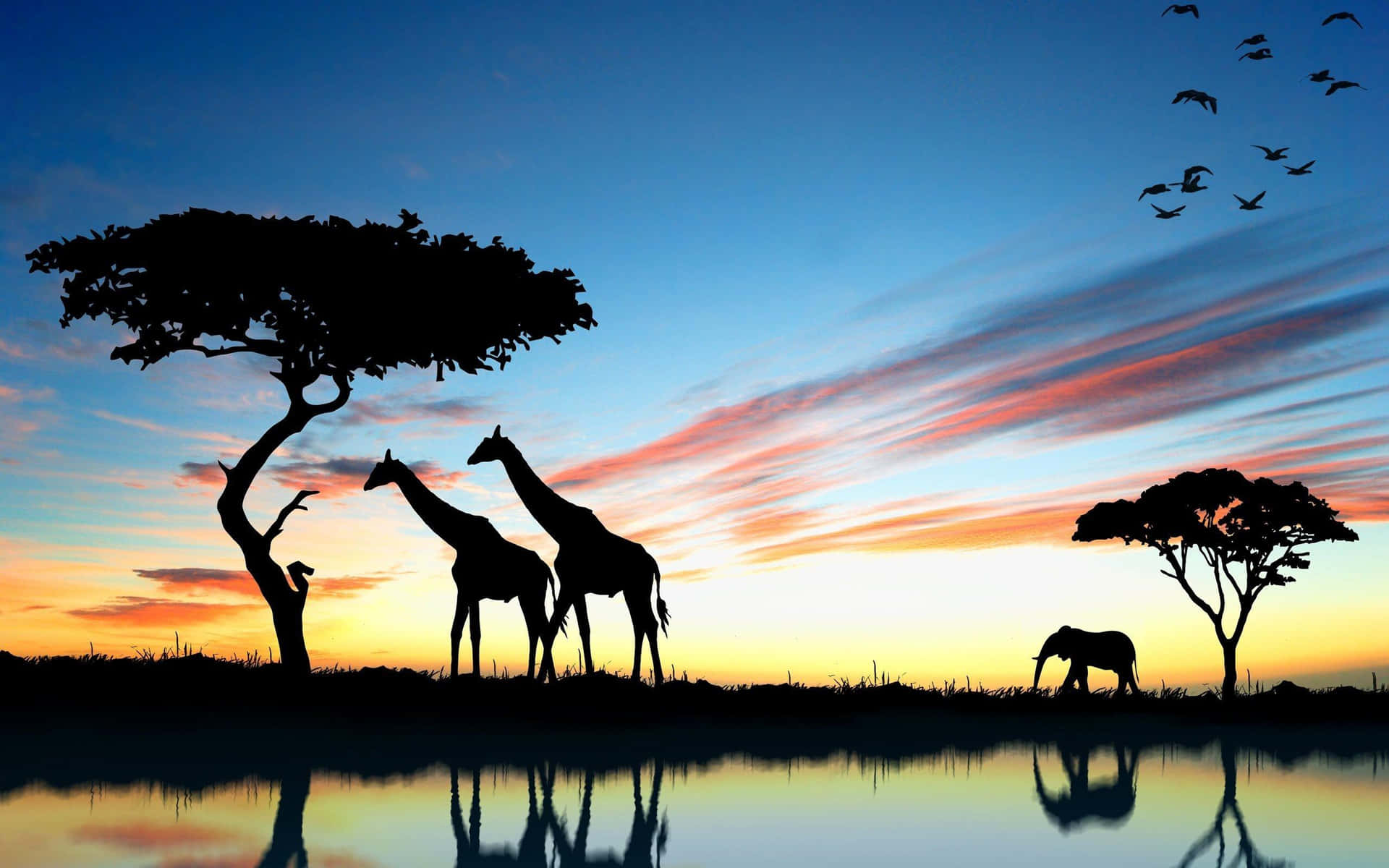 African Safari Sunset Silhouette Background
