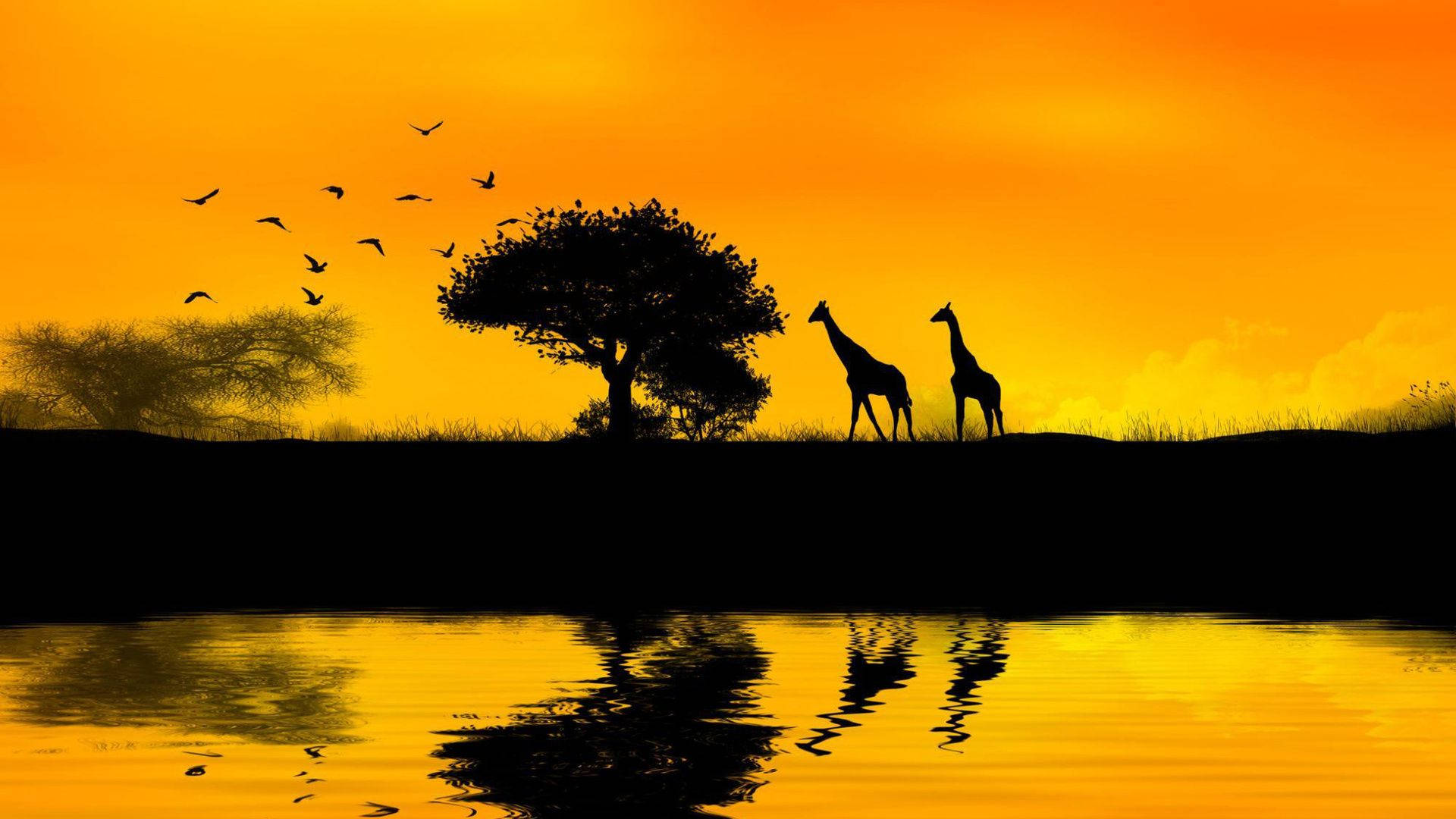 African Silhouette Sunset Art Background