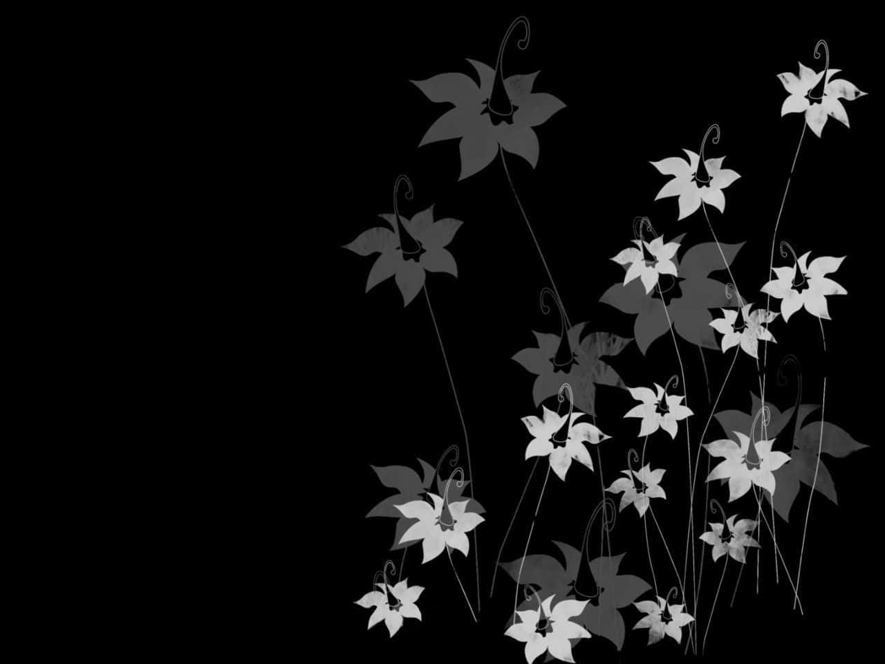 Against A Dark Background, Brightly Colored Flowers Bloom Background