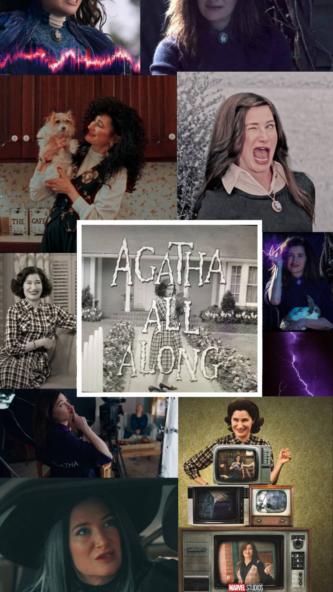 Agatha Harkness Funny Collage
