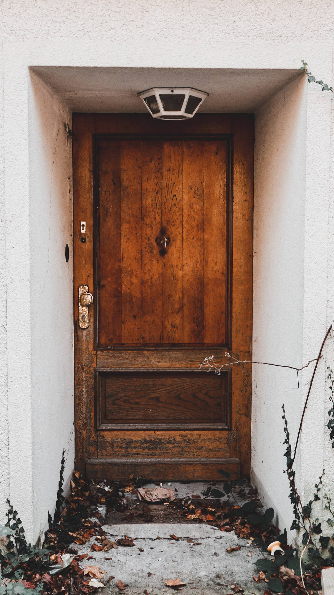 Aged Elegance: The Old Wooden Door Of An Abandoned House Background