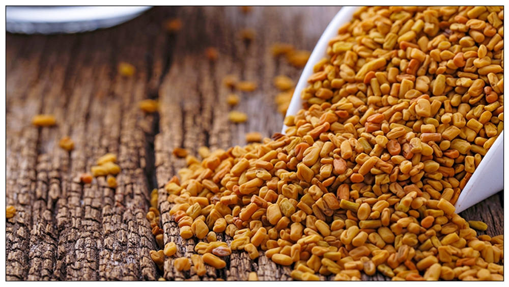 Aged Fenugreek Seeds Background