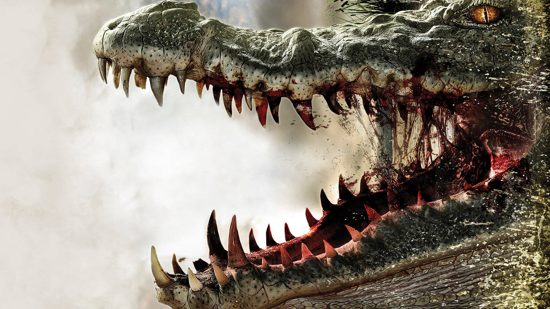 Aggressive Predatory Alligator Background