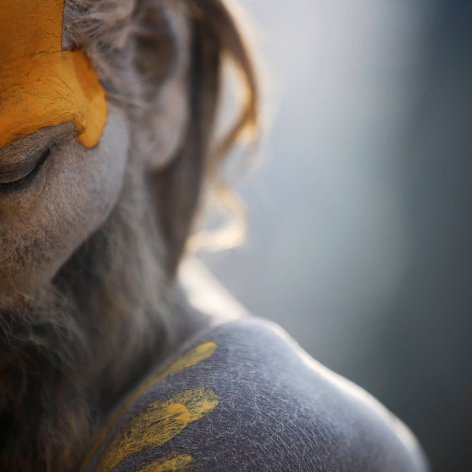 Aghori Skin Close-up Background