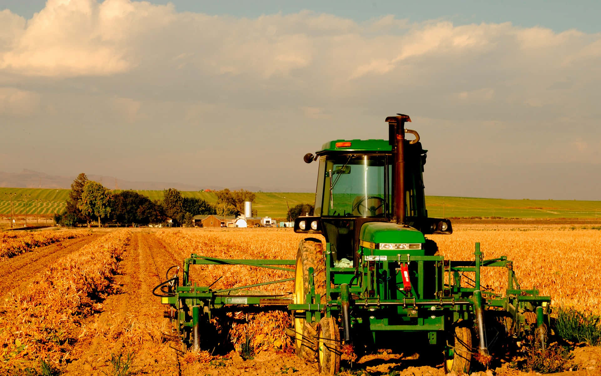 Agricultural Success - Harvesting In Dry Soil Background