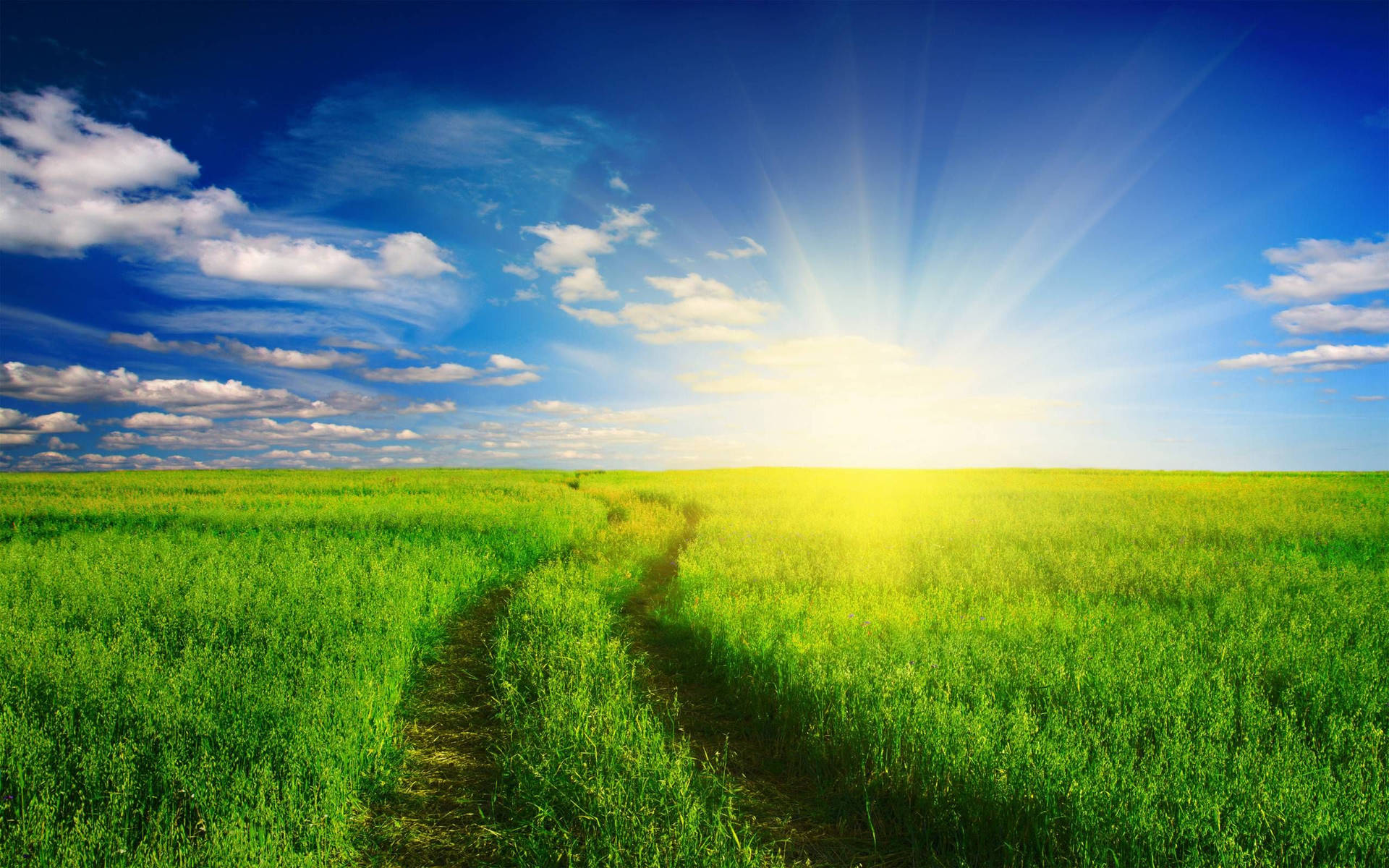 Agriculture Dirt Grass Road Background