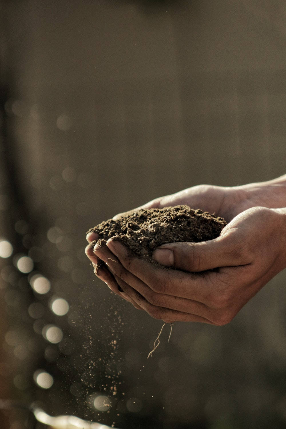 Agriculture Soil Photography