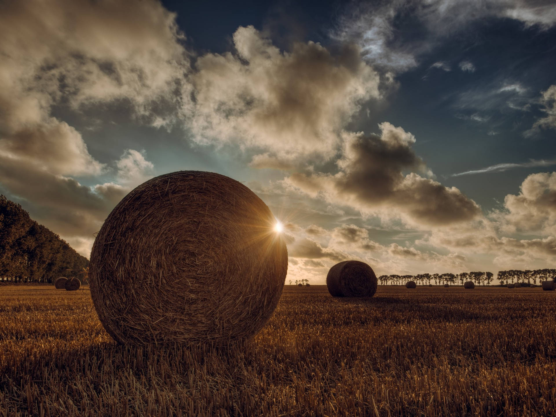 Agriculture Straw Bale Background