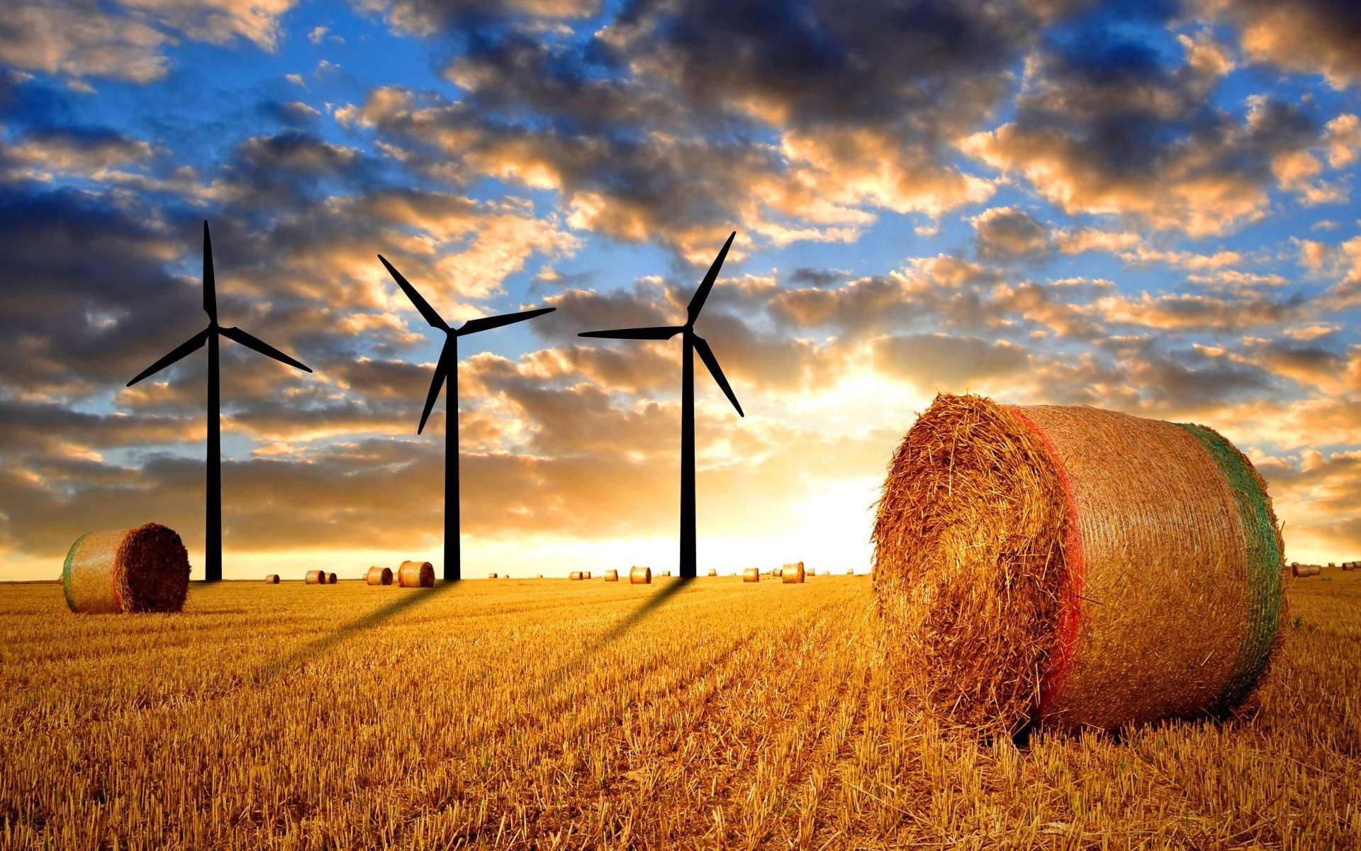 Agriculture Wind Farm Background