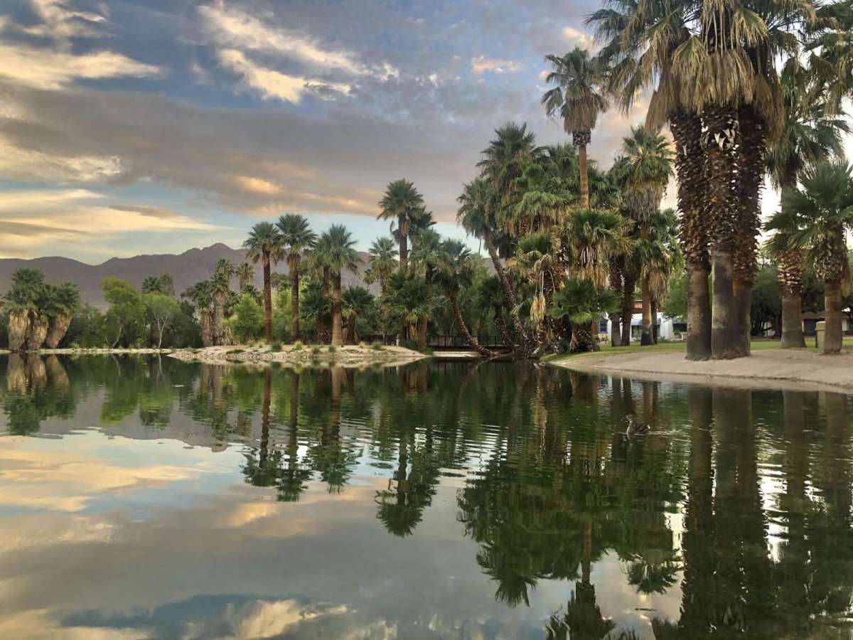 Agua Caliente In Tucson Arizona Background