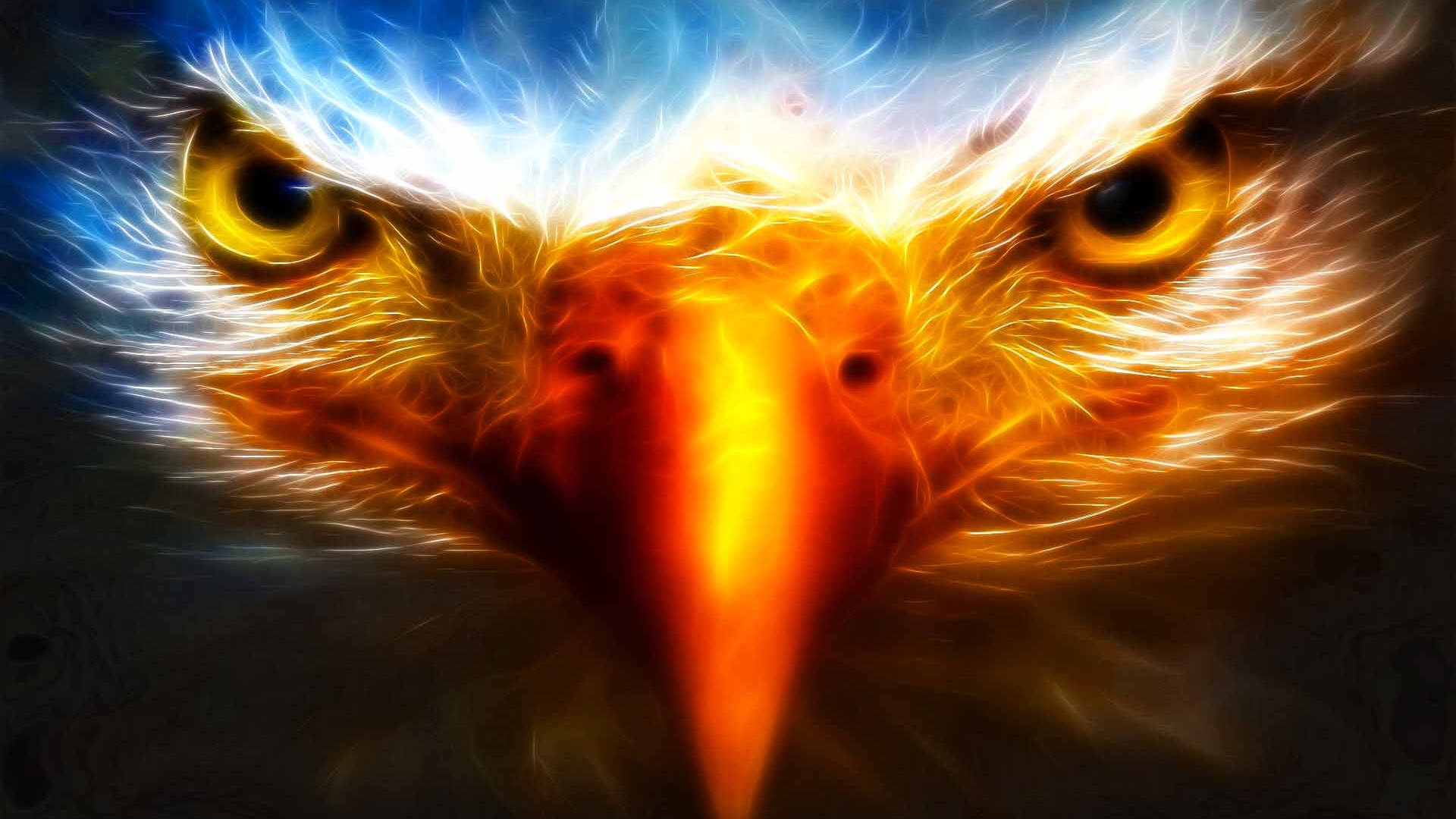 Aguila Bird Face Close-up Background