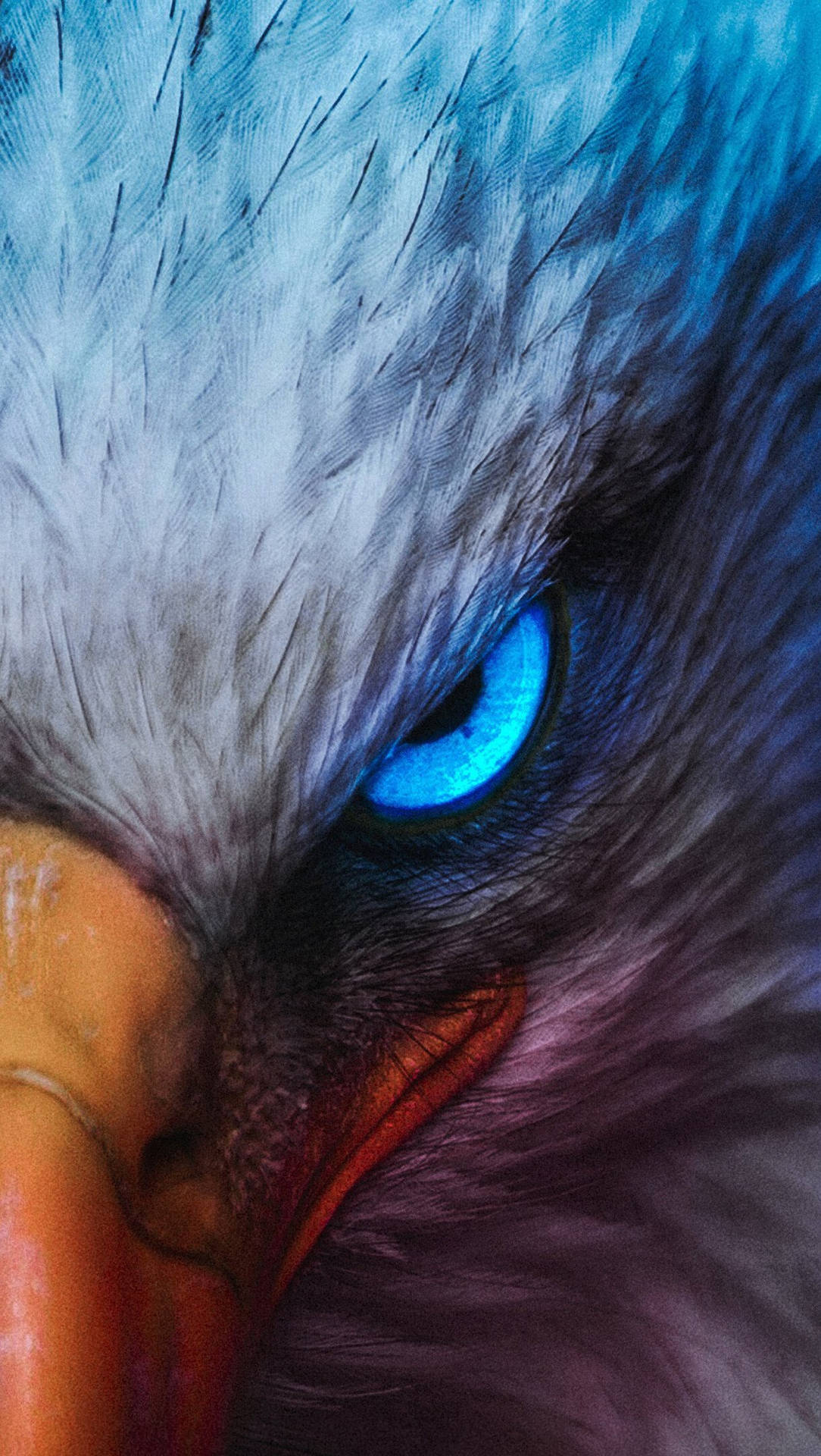 Aguila Sharp Glowing Blue Eye Background