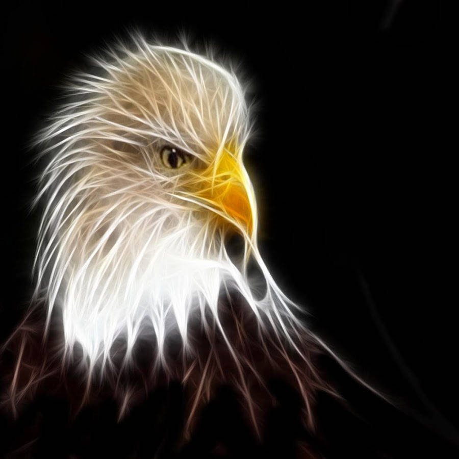 Aguila With Glowing White Feathers Digital Art Background