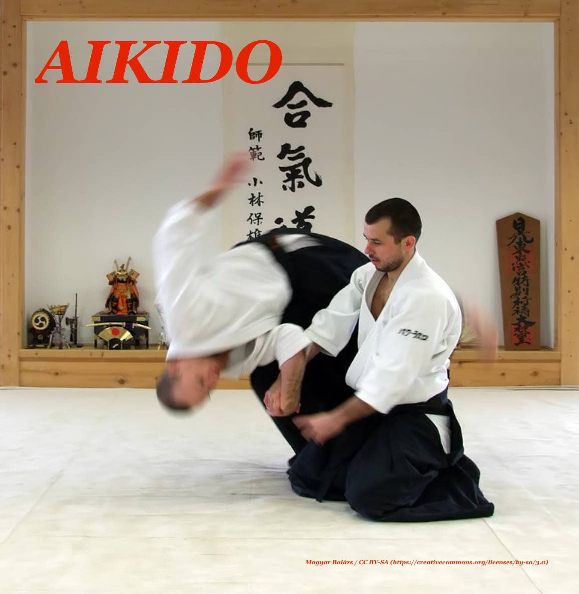 Aiki Nage Aikido Technique Digital Art Background