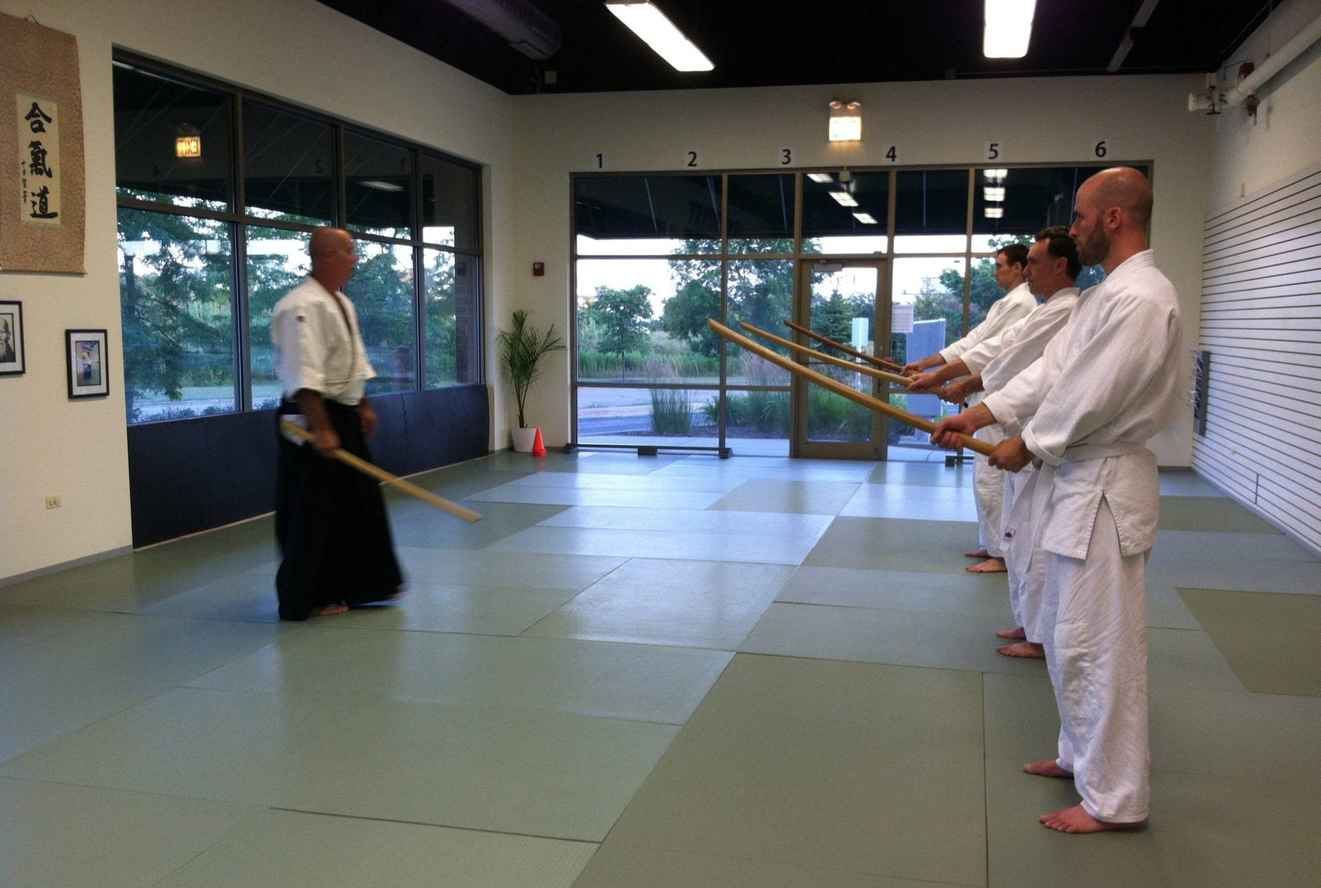 Aikido Master Demonstrates Jo Staff Techniques Background