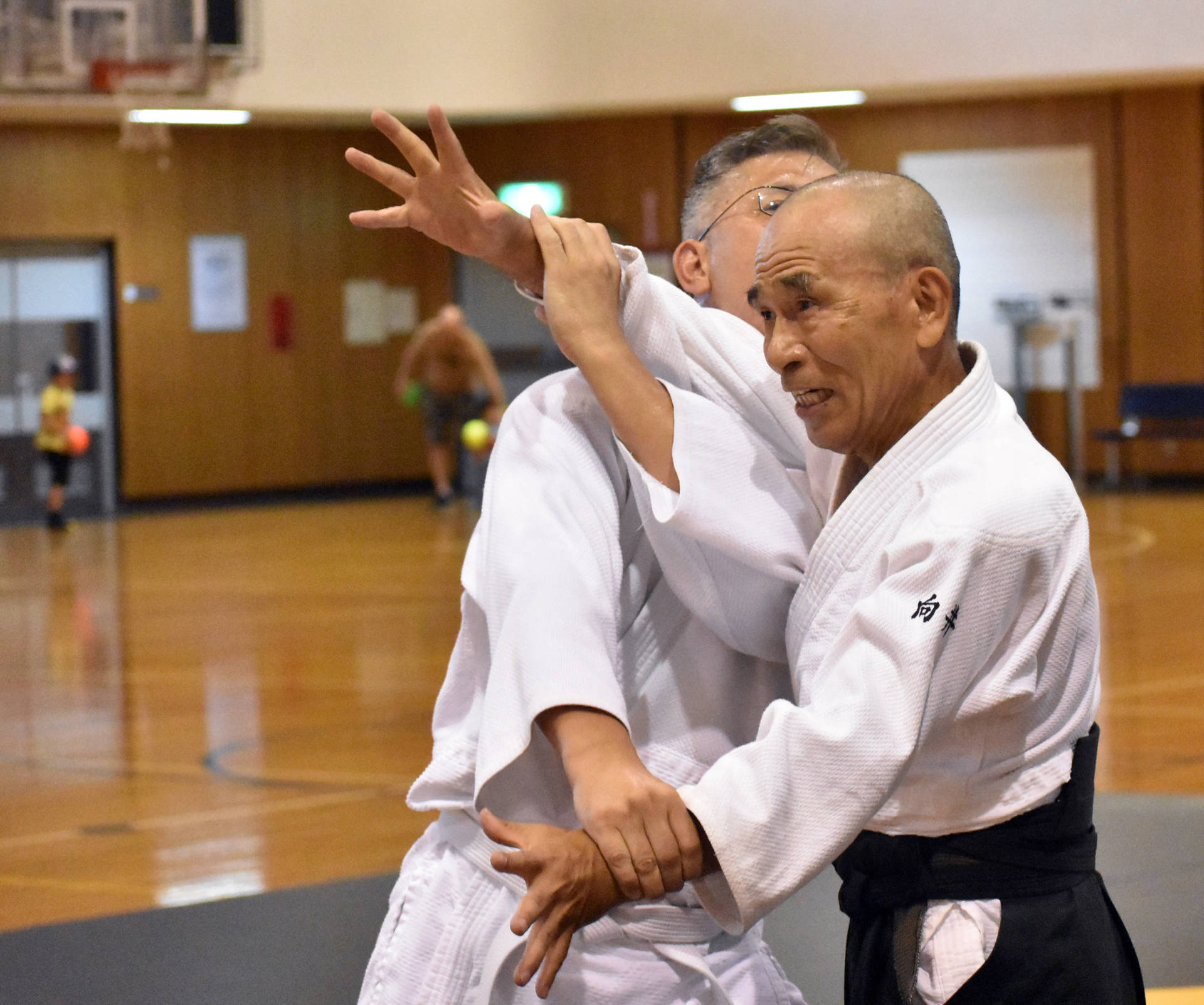 Aikido Sensei Imparts Traditional Technique Background