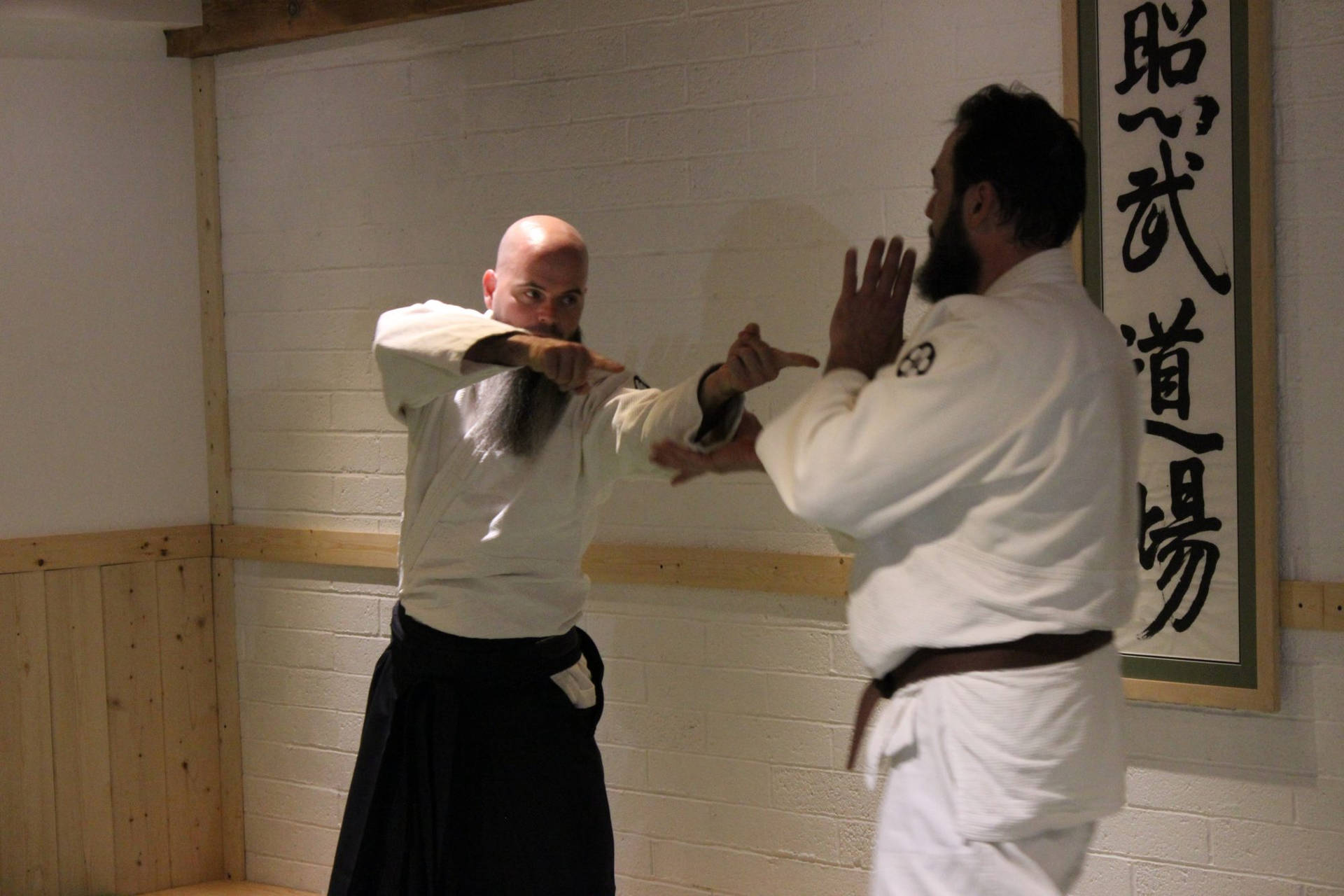 Aikido Sensei Teaching In Dojo Background