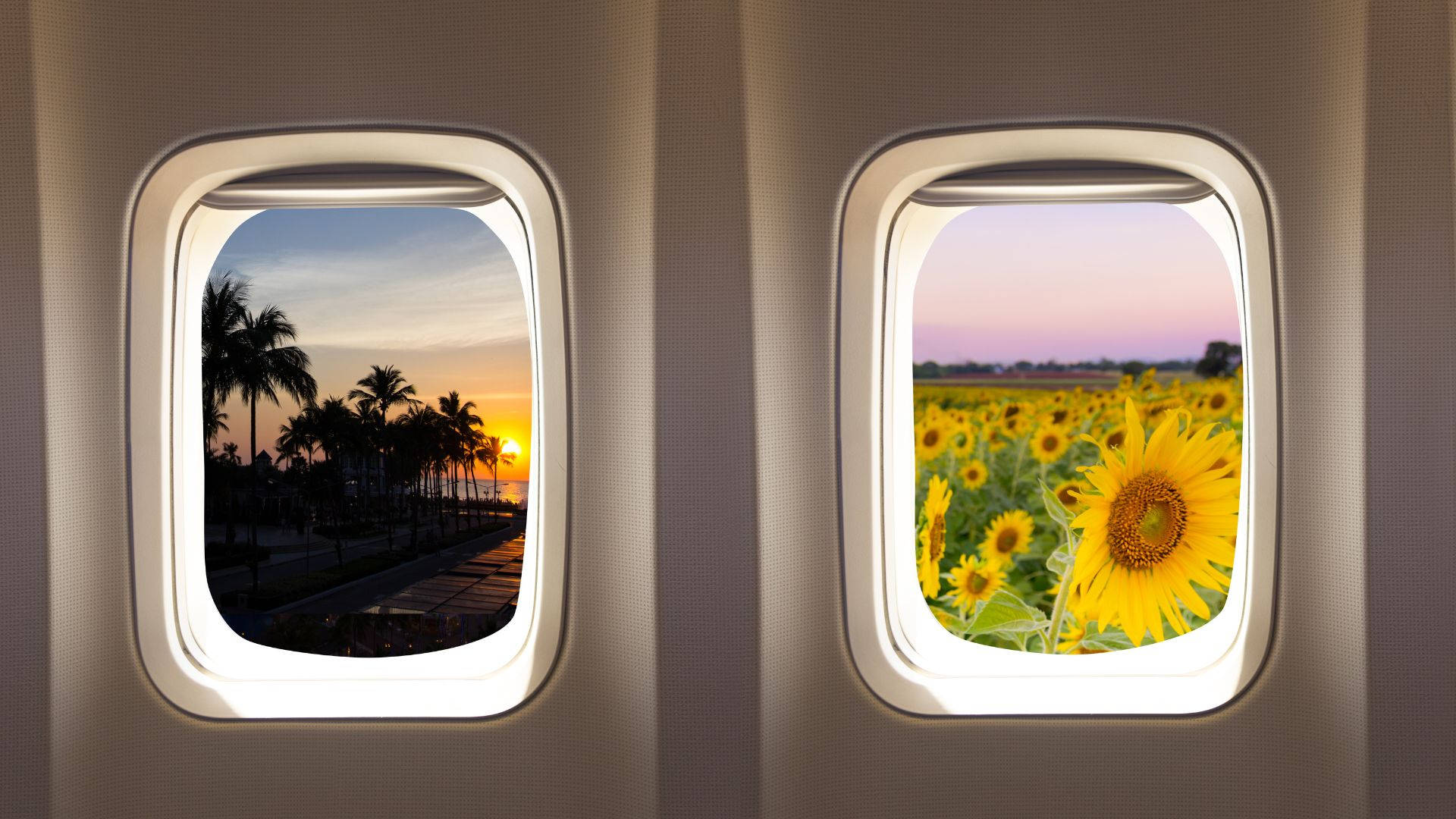 Airplane Window Travel Beach Sunflower