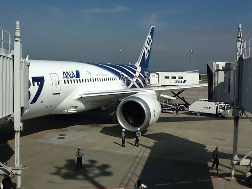 Airport Workers With Ana Plane