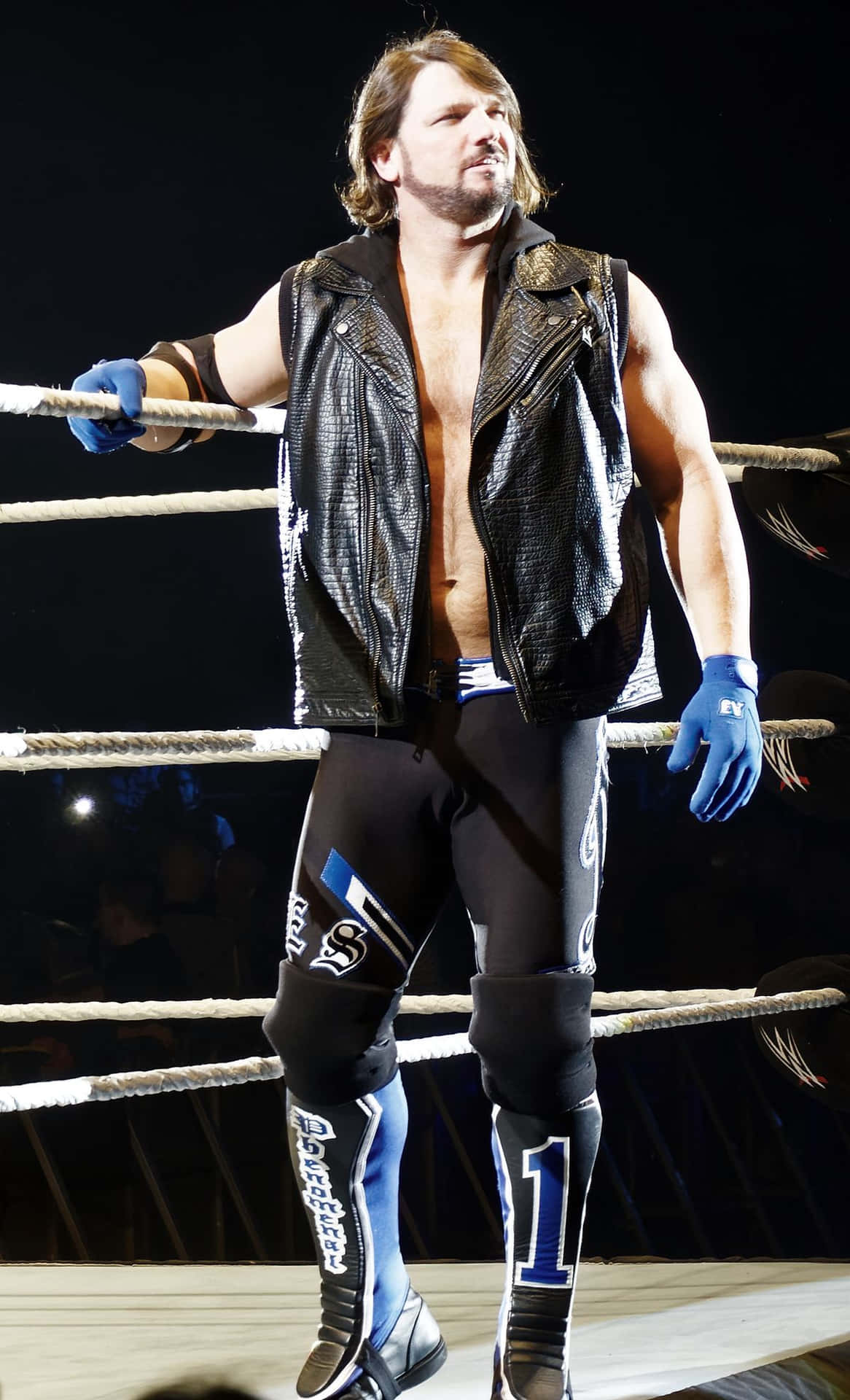 Aj Styles World Heavyweight Champion