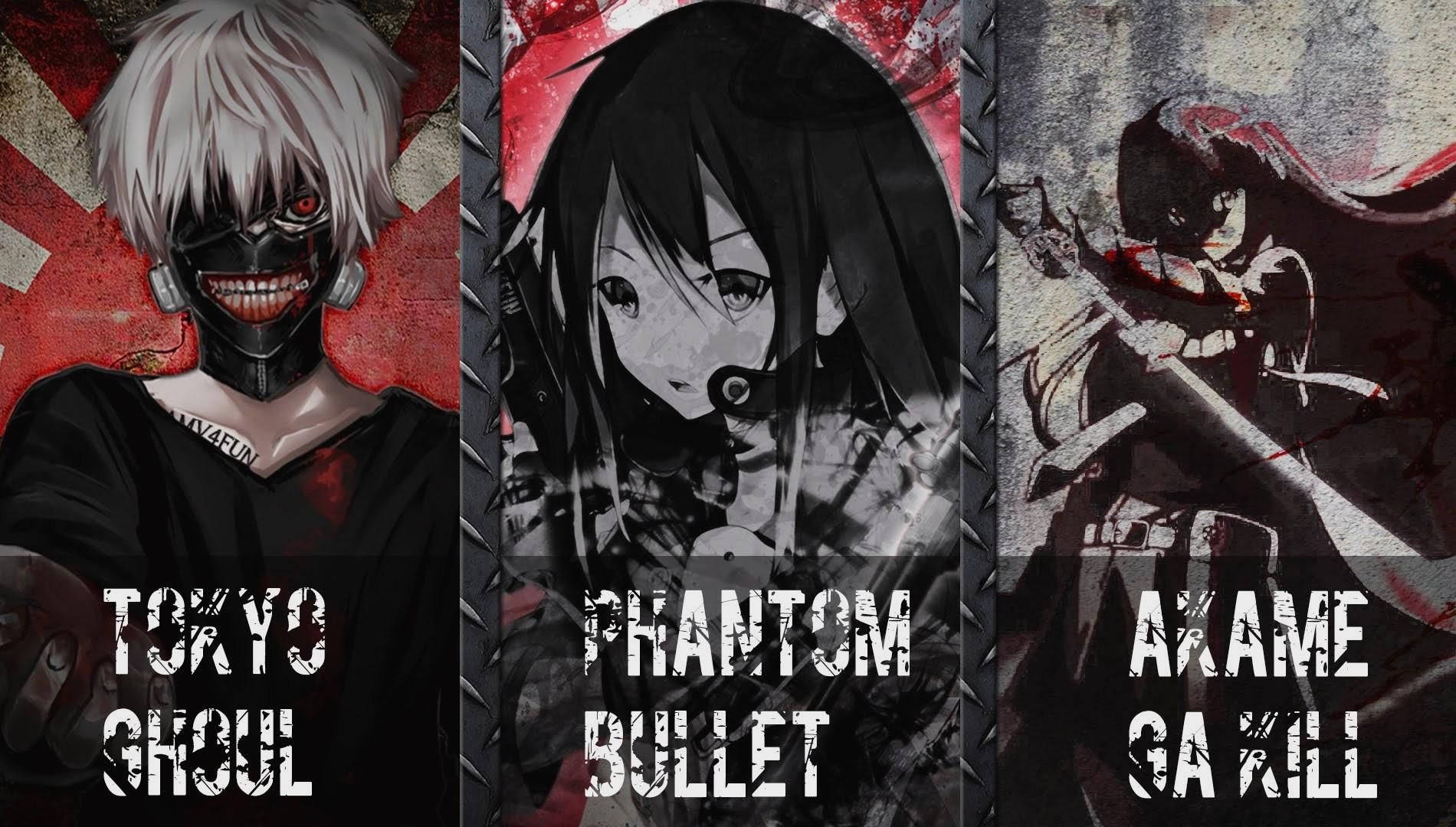 Akame Ga Kill Anime Artwork Poster Background