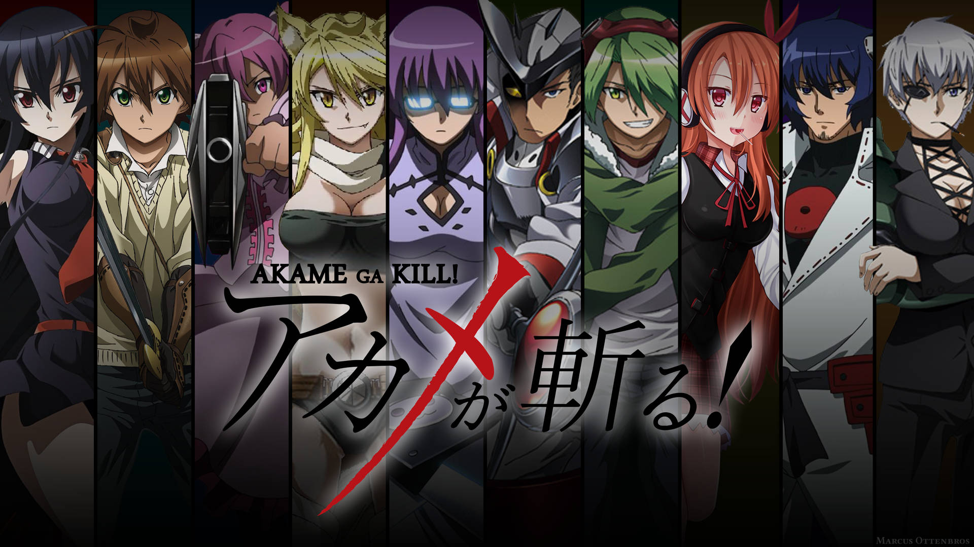 Akame Ga Kill Characters Poster Background