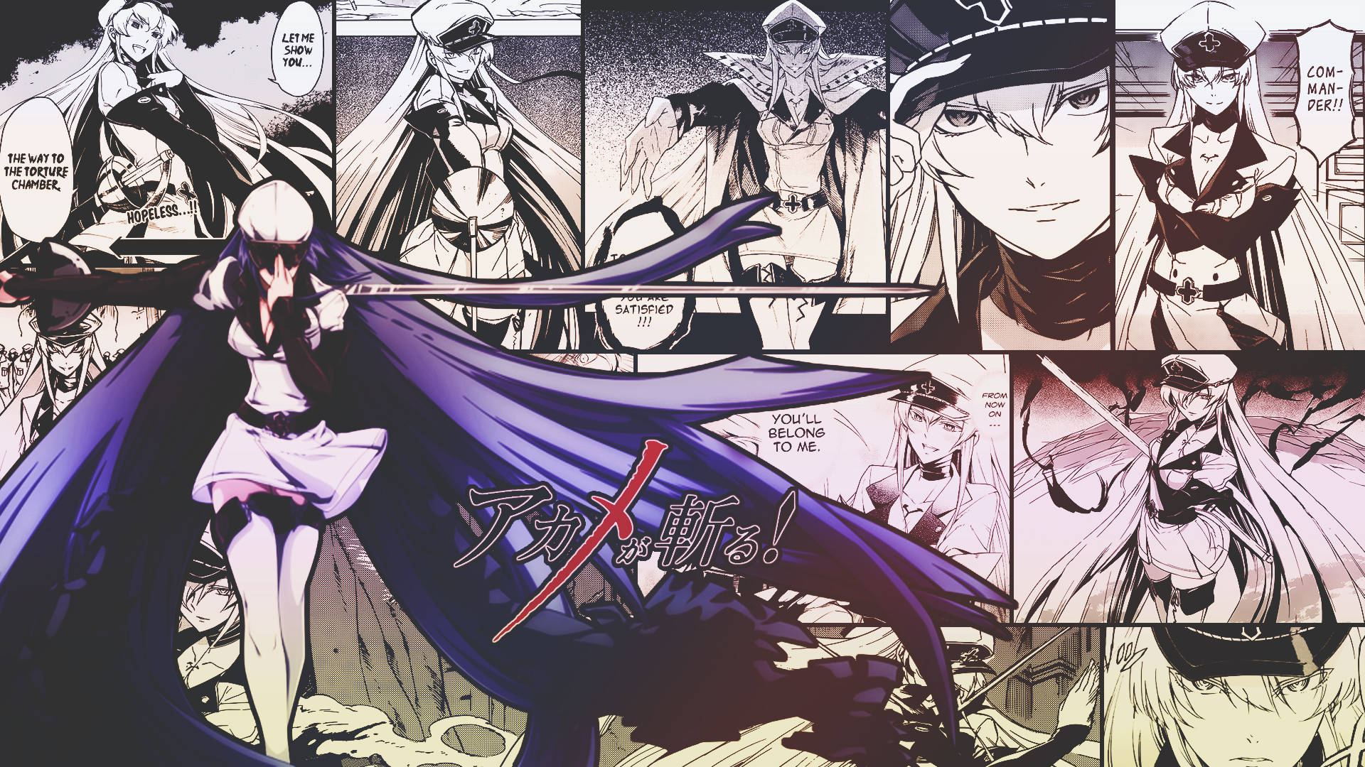 Akame Ga Kill's Esdeath Background