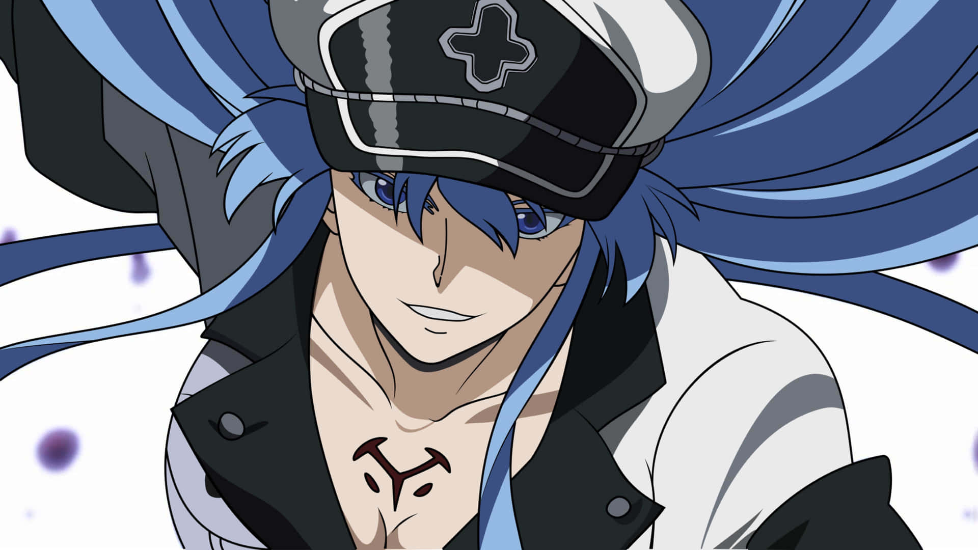 Akame Ga Kill: The Sharp Gaze Of Assassins In 4k Background